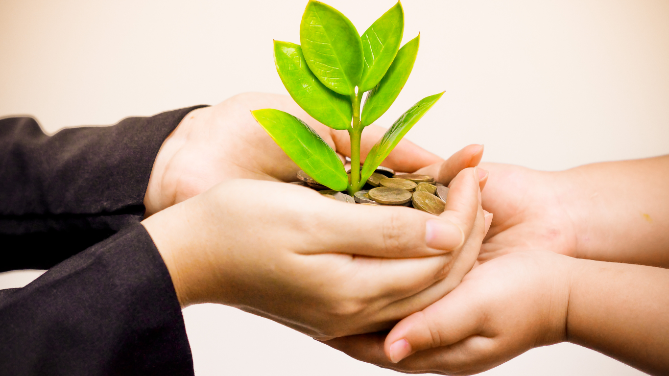 How to invest when the whole system is evil🔥😈