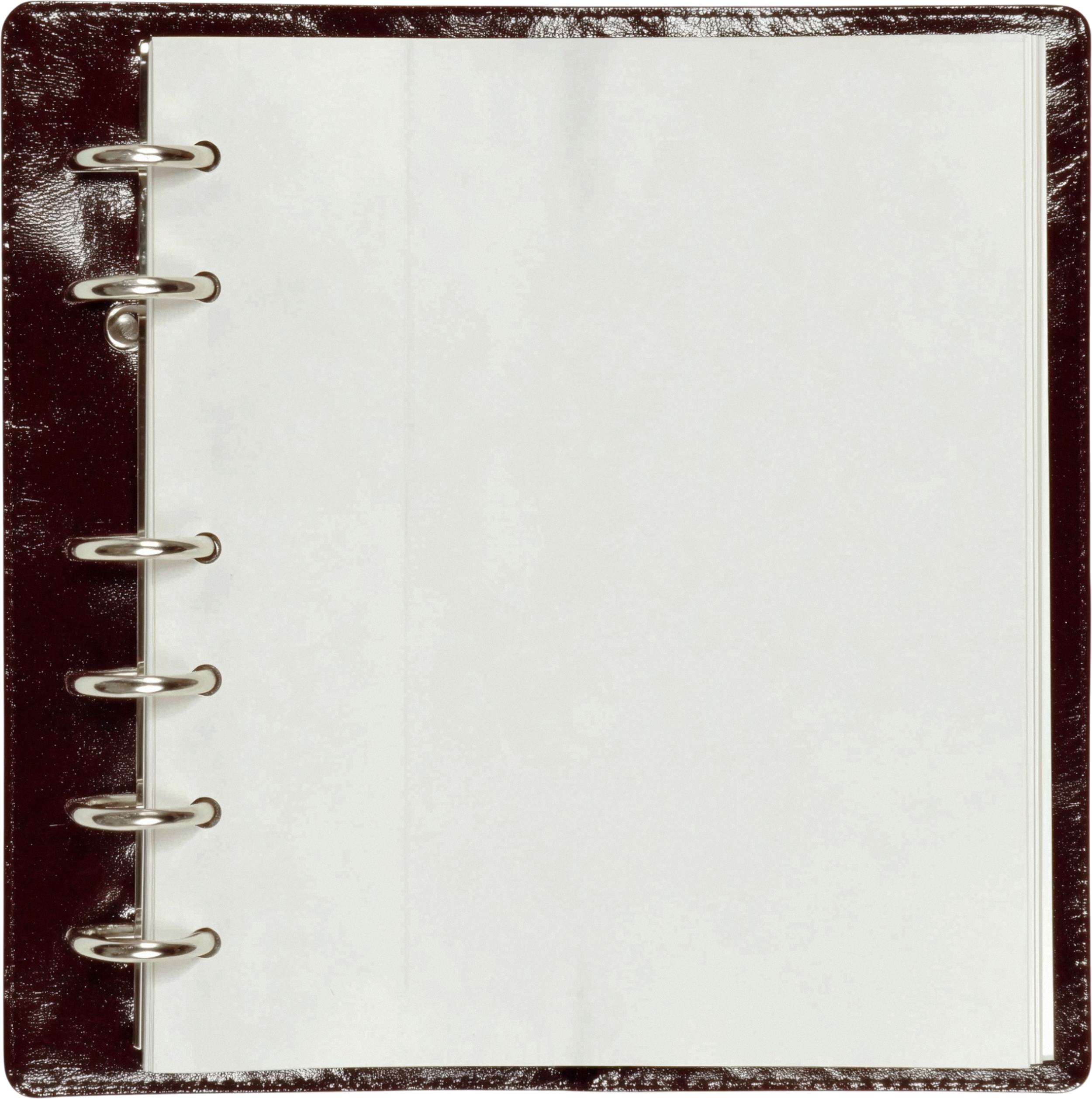 Open blank white notebook with metal rings on left page