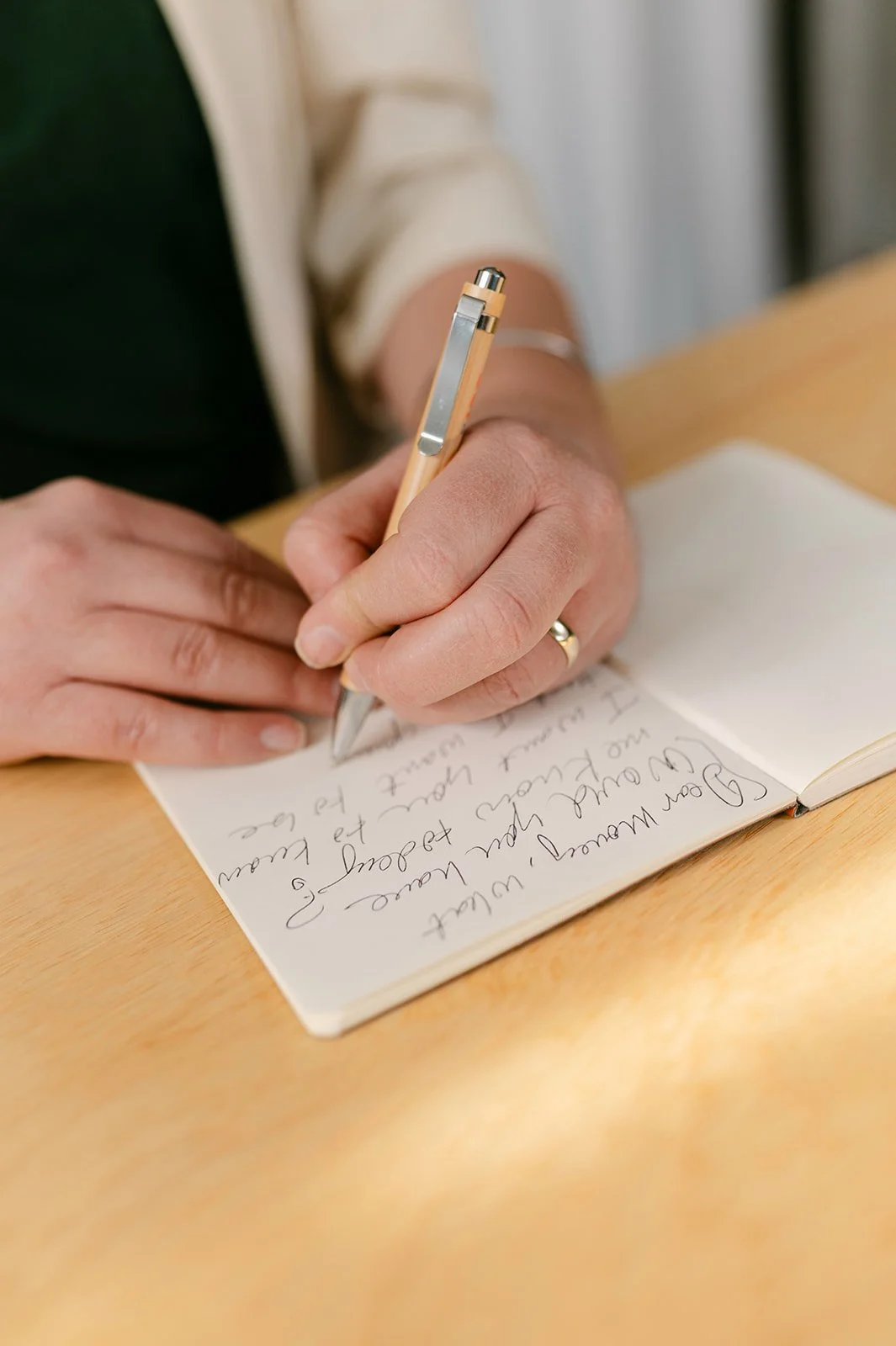 a person handwriting in a money journal
