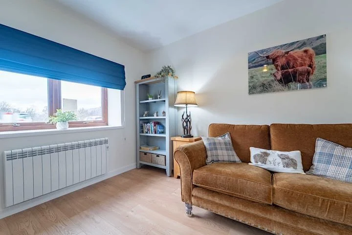 A cozy living room with a large window, blue valance, potted plant, blue bookshelf, lamp, brown sofa with plaid and animal-print pillows, and a cow painting on the wall.
