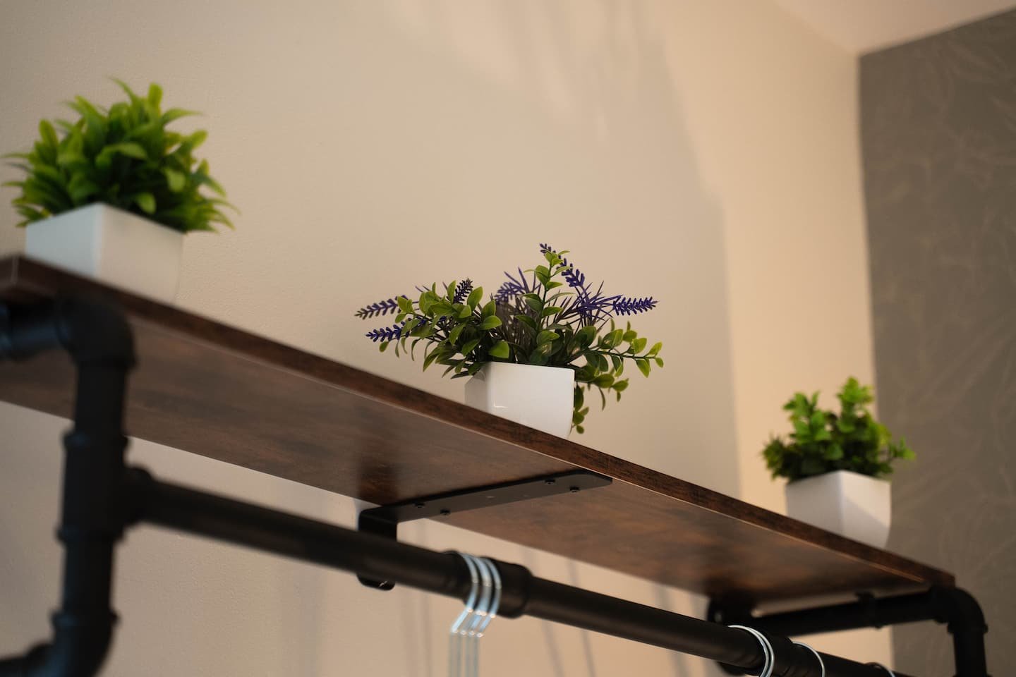 Three small potted plants on a wooden shelf attached to a black pipe wall shelf, with a minimal indoor decor setting.