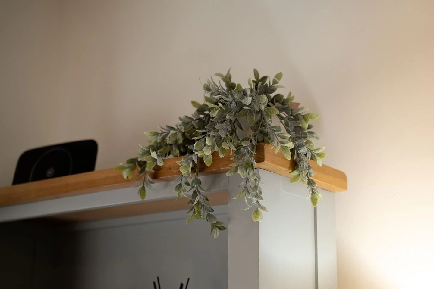 A potted green plant with trailing leaves on a wooden shelf near a wall.