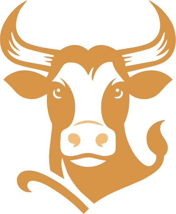 Geometric drawing of an outline square with sections divided by vertical, horizontal, and diagonal lines.