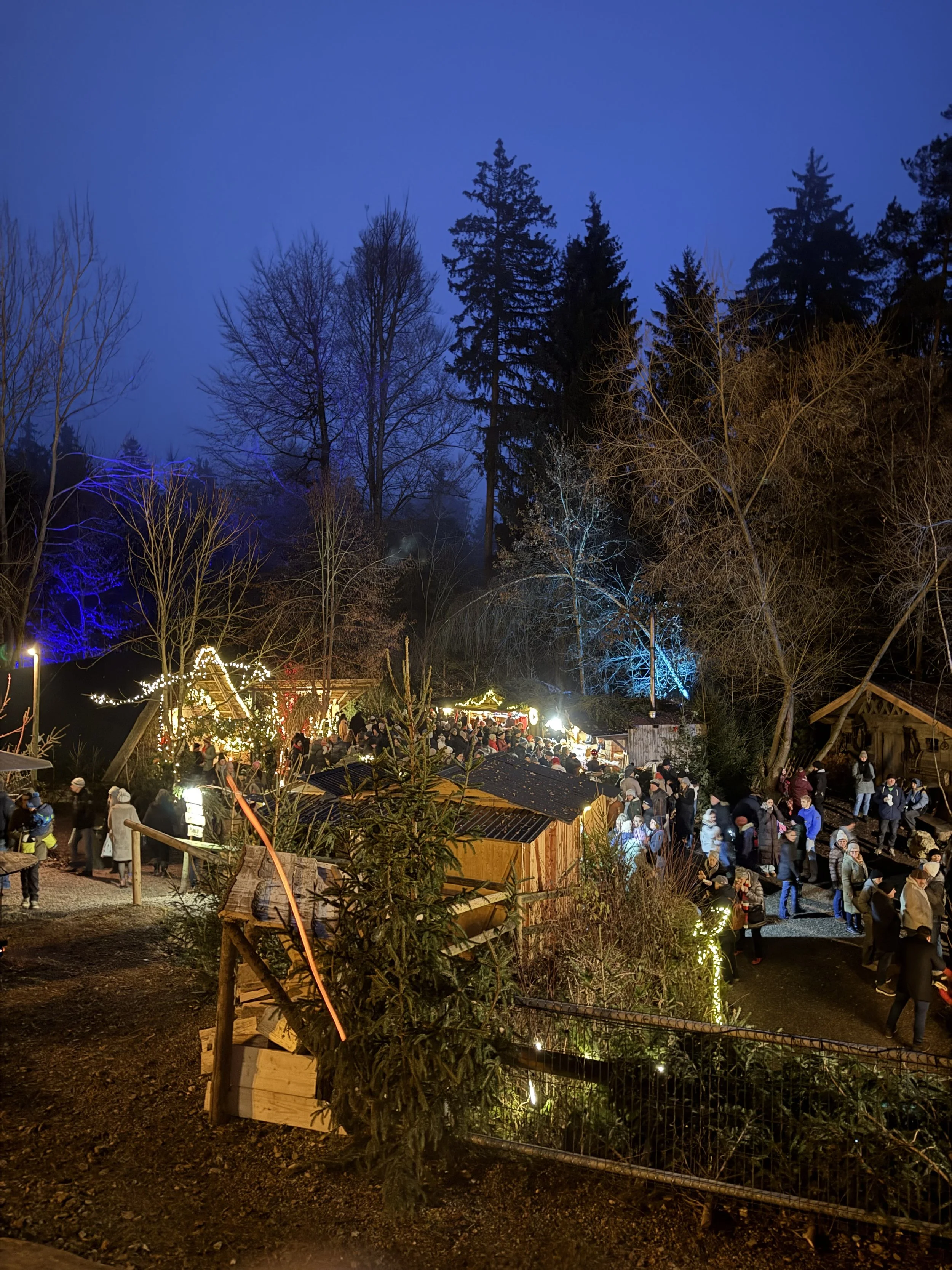 Ein Weihnachtsmarkt bei Nacht mit vielen Besuchern, Weihnachtsbeleuchtung, Holzständen und einem Weihnachtsbaum im Vordergrund, umgeben von Bäumen.