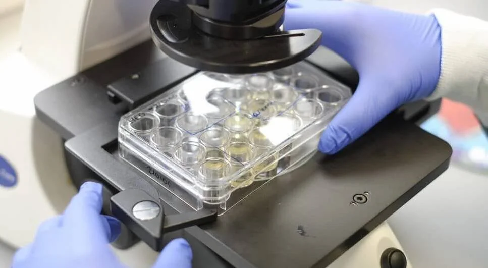 OrganoVIRLabs is looking for a Virus Culture Diagnostics and Research Analyst&nbsp;