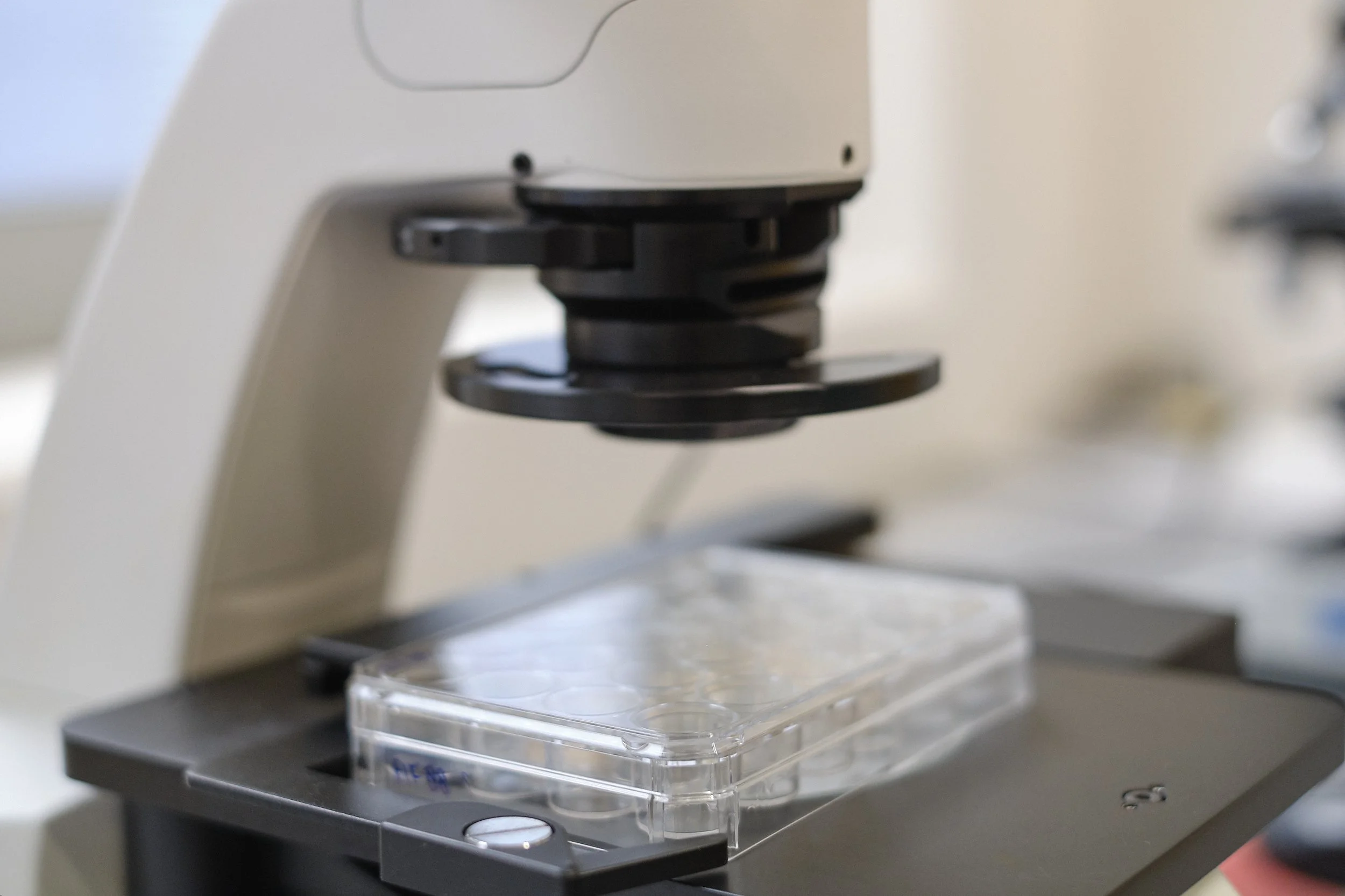 MERIT: Unraveling the Role of Host Metabolism in Viral Infections