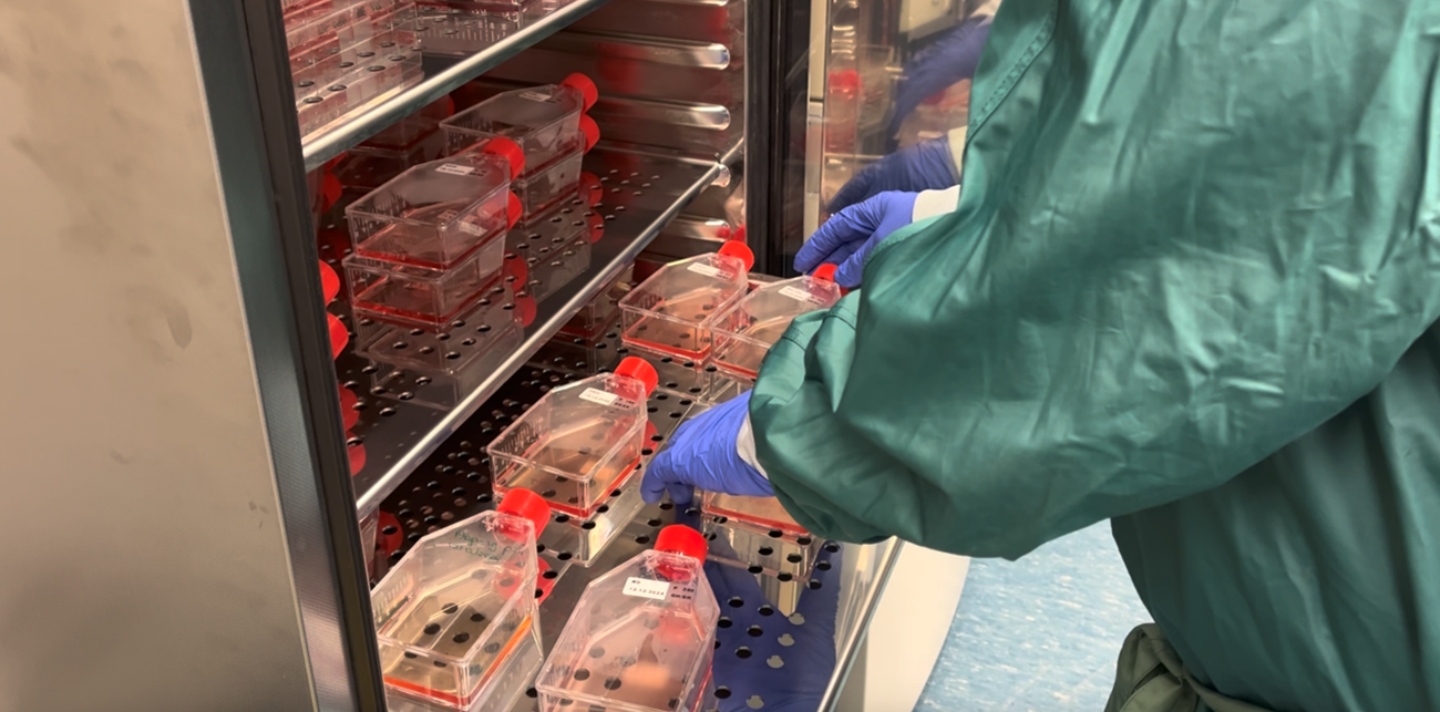 OrganoVIR Labs Achieves Exciting Milestone:&nbsp;FCS-Free Transition with Panexin CD