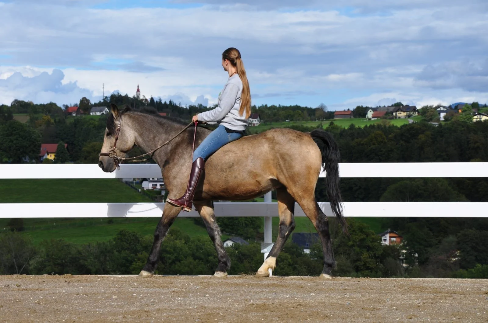Frau reitet auf einem braunen Pferd auf einer Reitbahn mit ländlicher Umgebung im Hintergrund.