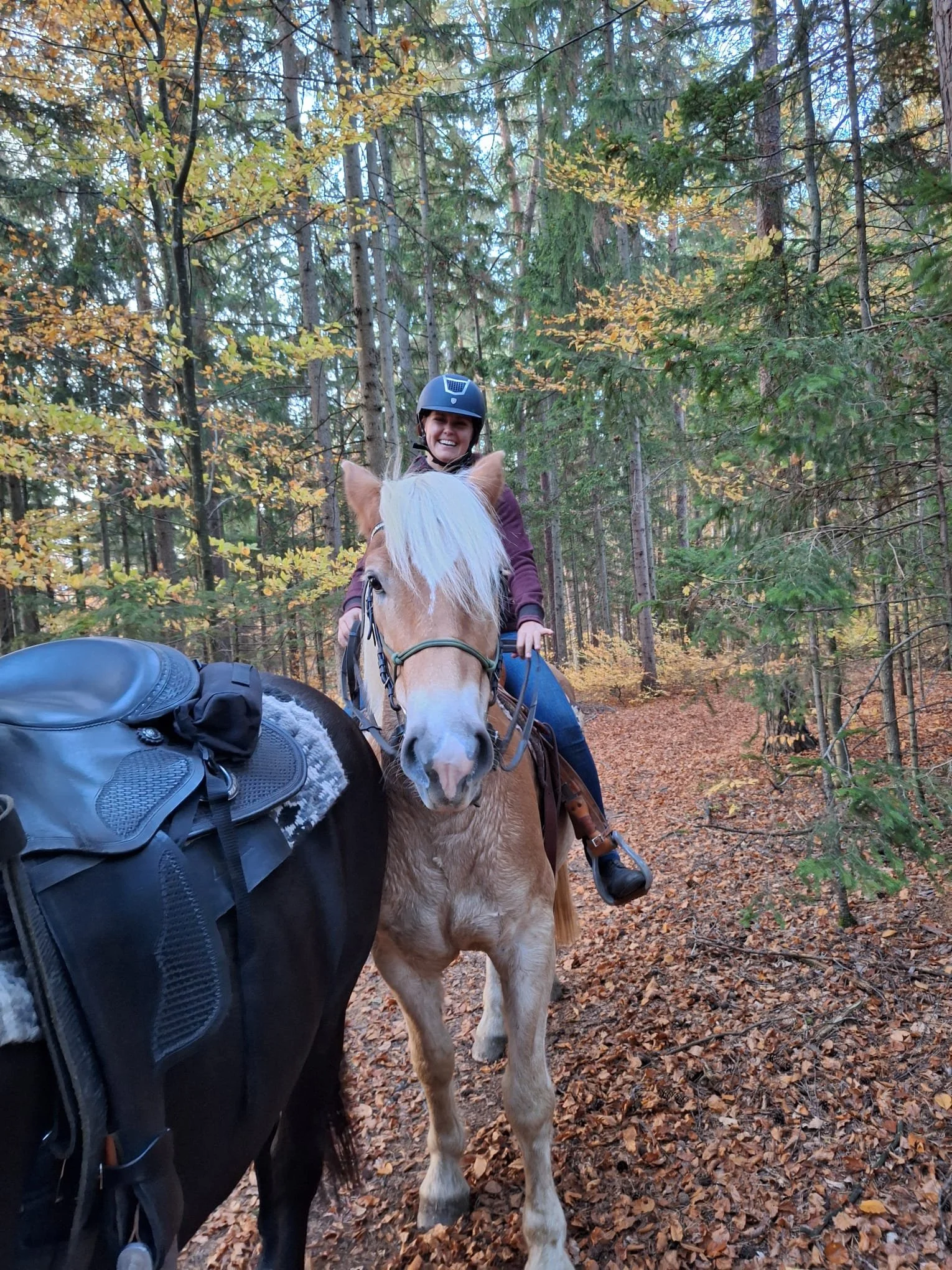 Eine Person reitet auf einem Pony durch einen Wald mit herbstlichen Laubblättern.