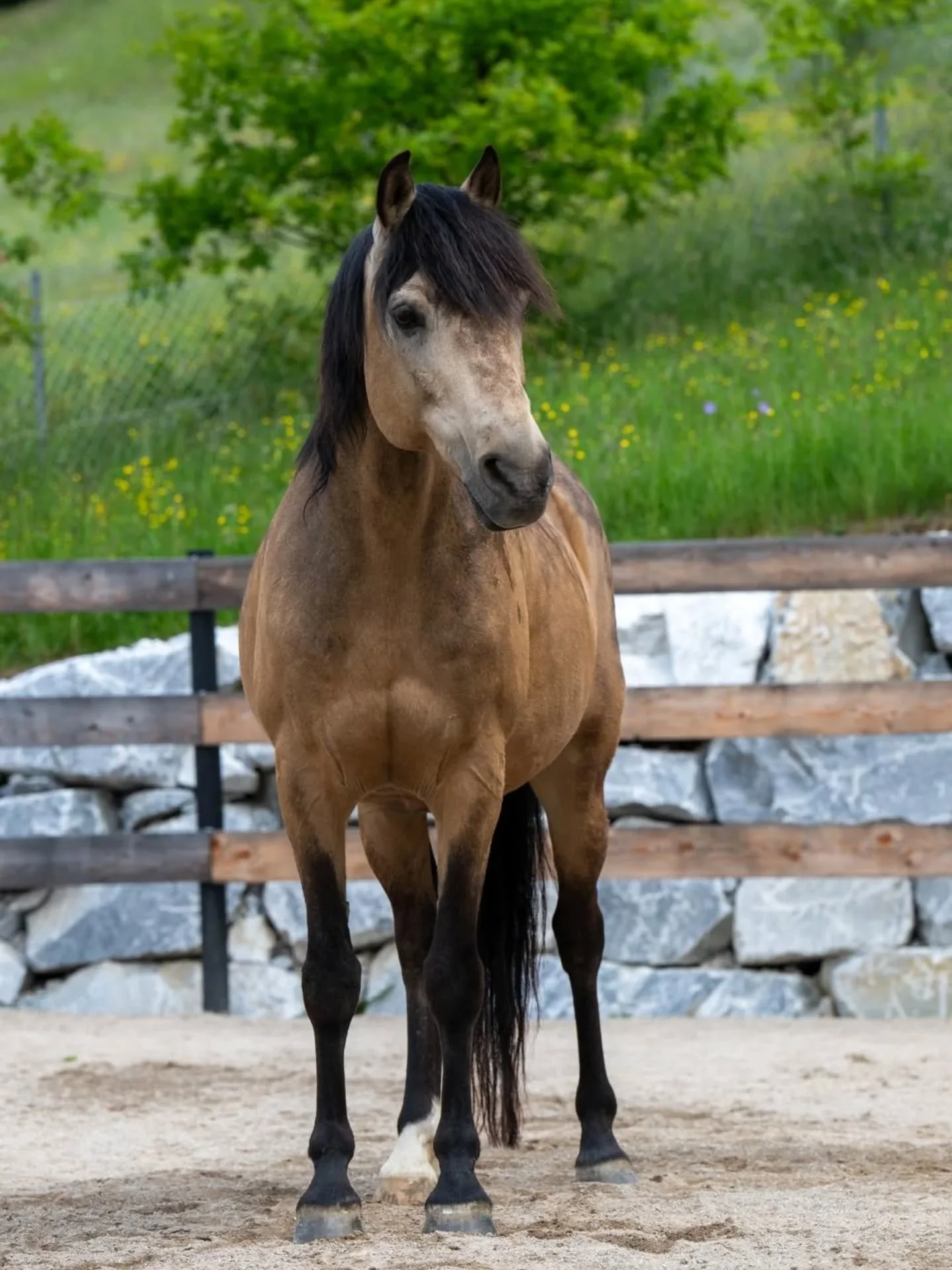 My sun☀️My moon🌙