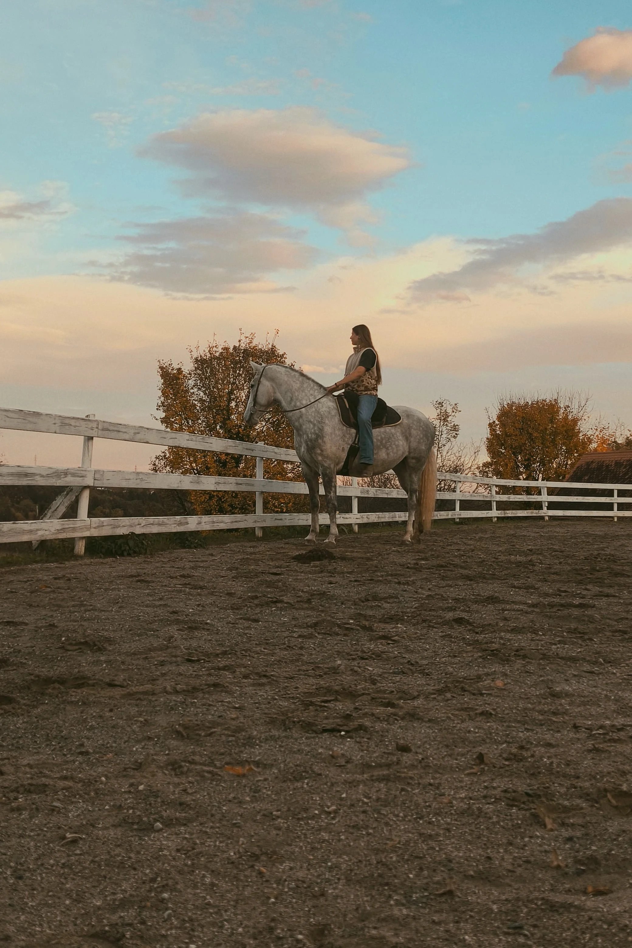 Eine Frau auf einem stehenden weißen Pferd in einem Reitplatz bei Sonnenuntergang, umgeben von Bäumen mit Herbstlaub.