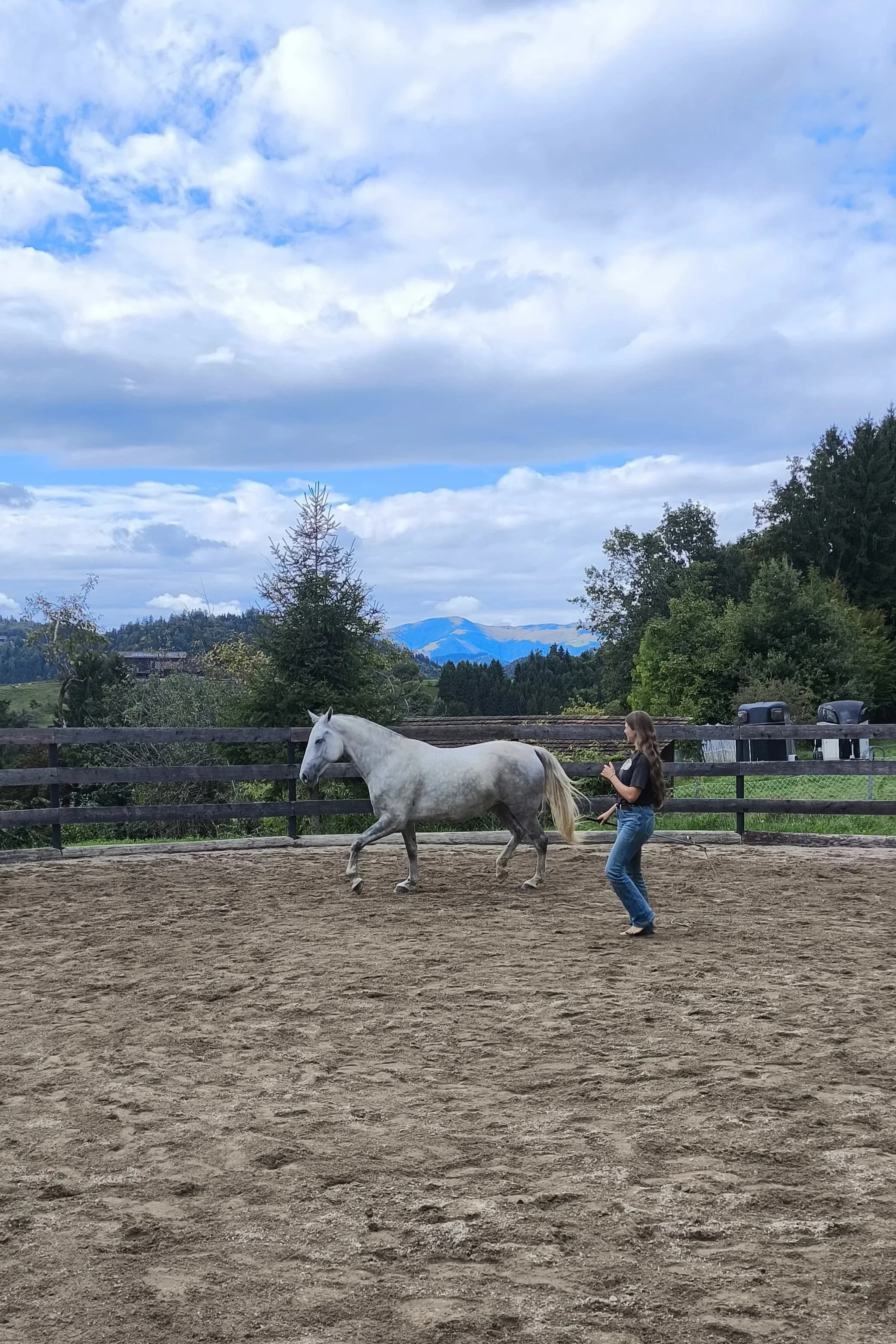 Mädchen reitet auf weißem Pferd im Reitplatz vor grüner Landschaft und Bergen bei bewölktem Himmel.