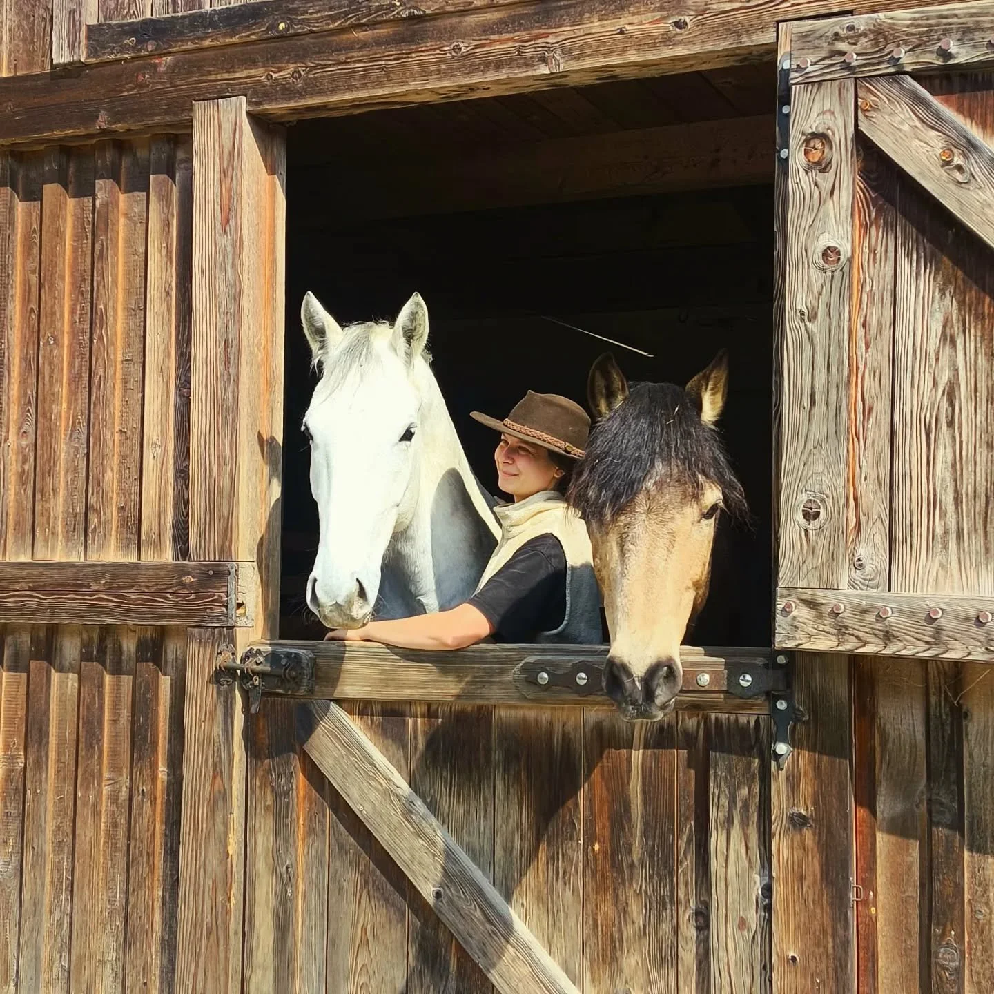 Zwischen Mond und Sonne, zuhause bei beiden.🌞🌛

#pferdestall #grazumgebung #pferdetrainer #pferdetrainingsteiermark