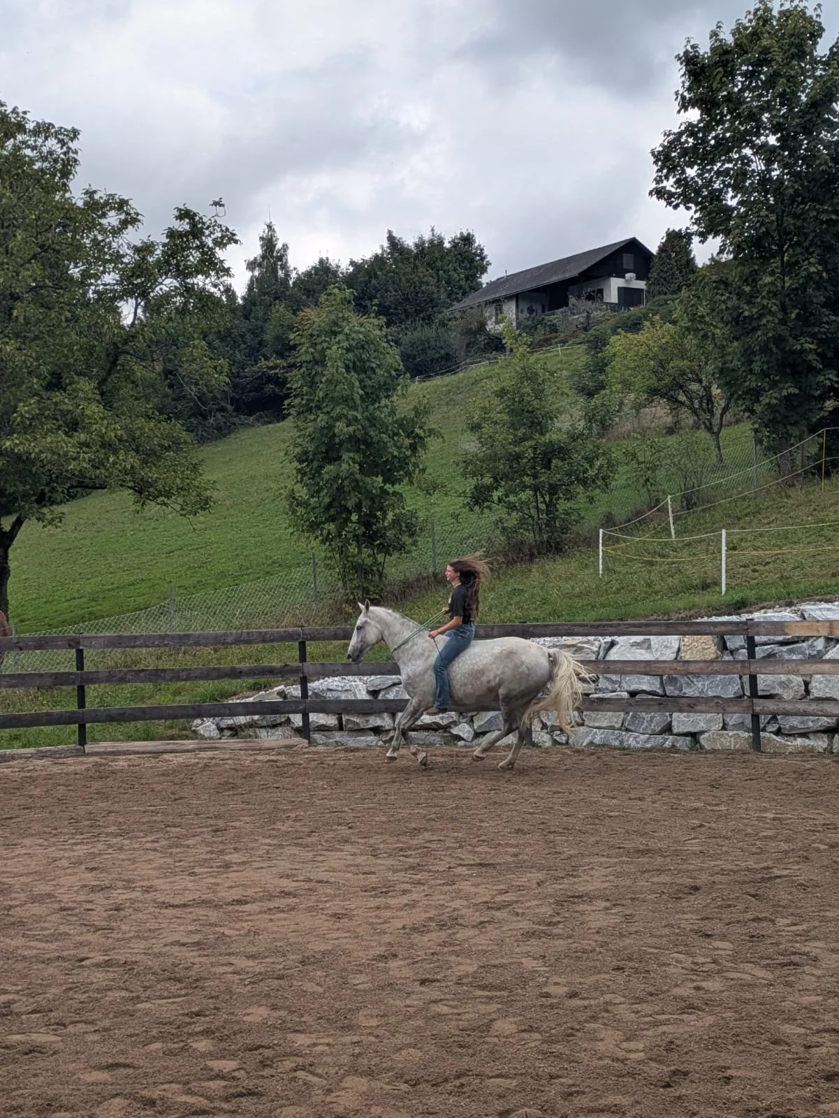 Eine Frau reitet auf einem weißen Pferd auf einem Reitplatz, im Hintergrund sind Bäume, ein Haus auf einem Hügel und ein bewölkter Himmel.