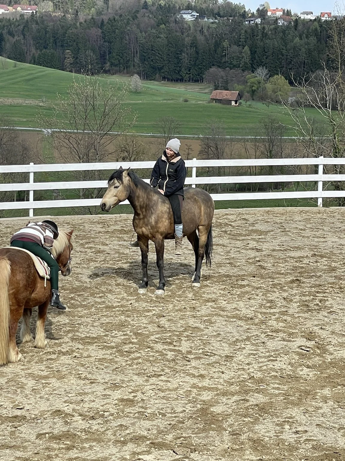 Eine Person reitet auf einem braunen Pferd in einem Reitplatz, im Hintergrund eine ländliche Landschaft mit grünen Feldern, Bäumen und Häusern.