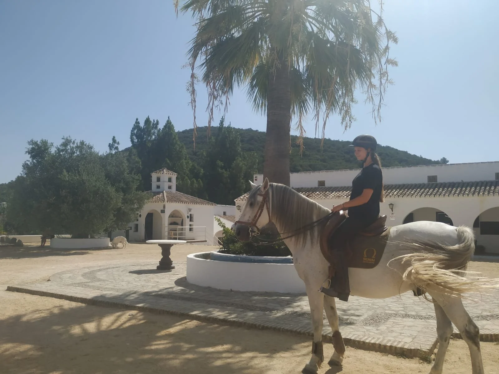 Eine Frau reitet auf einem weißen Pferd im Innenhof eines weißen Gebäudes mit Ziegel-Dach, umgeben von Palmen und Bäumen, bei sonnigem Himmel.