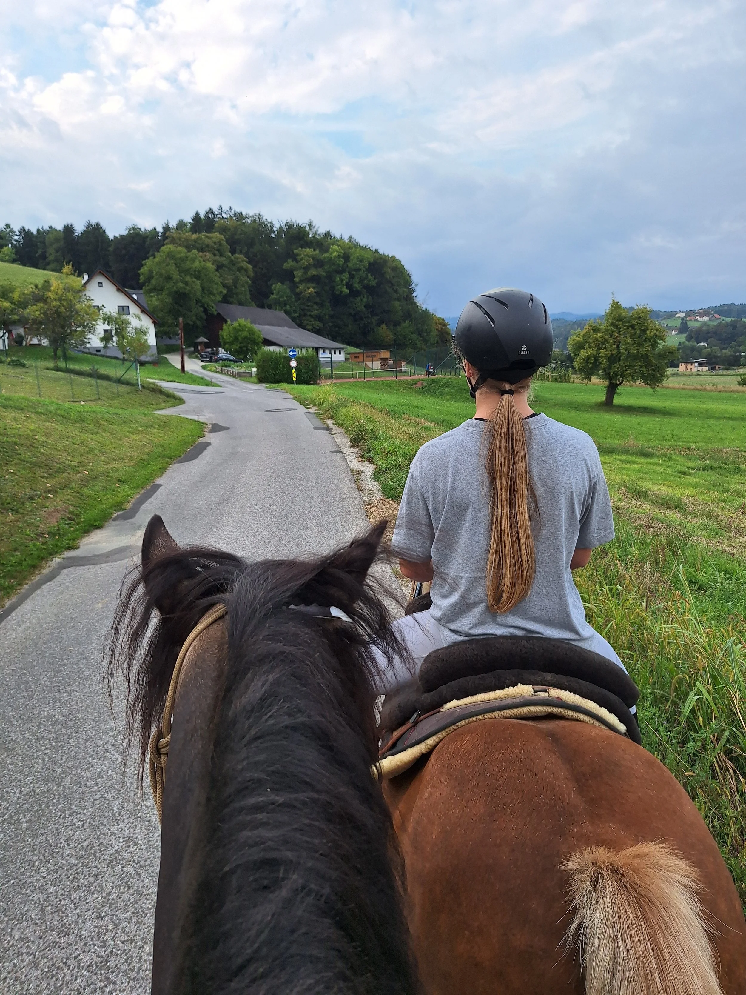 Ein Mädchen reitet auf einem Pferd auf einer schmalen Landstraße, umgeben von grüner Landschaft und Feldern, mit einem Helm auf dem Kopf, Blick nach vorne.