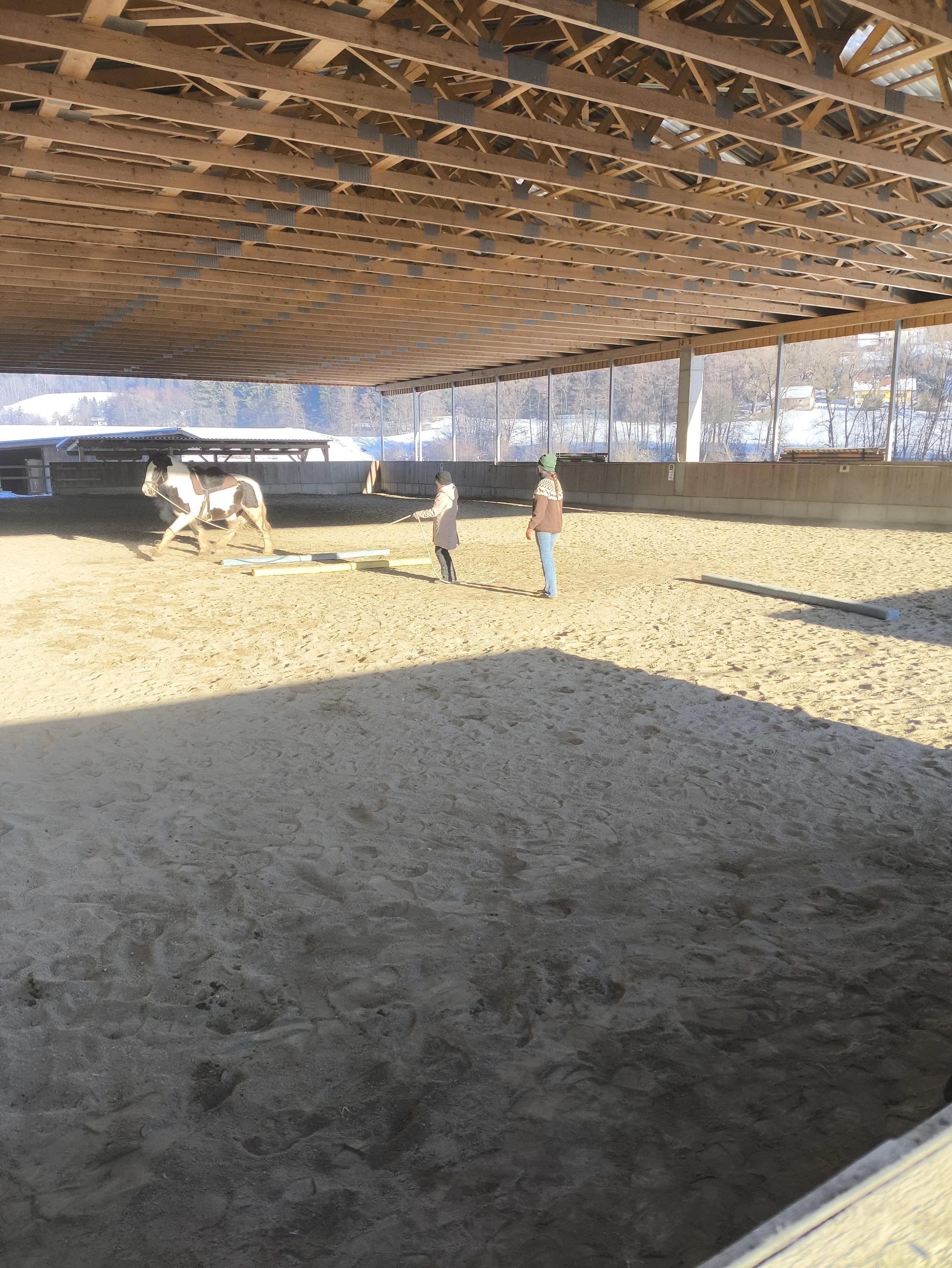 Zwei Menschen arbeiten mit einem Pferd in einer offenen Reithalle mit Sandboden, eine Person führt das Pferd, die andere beobachtet.