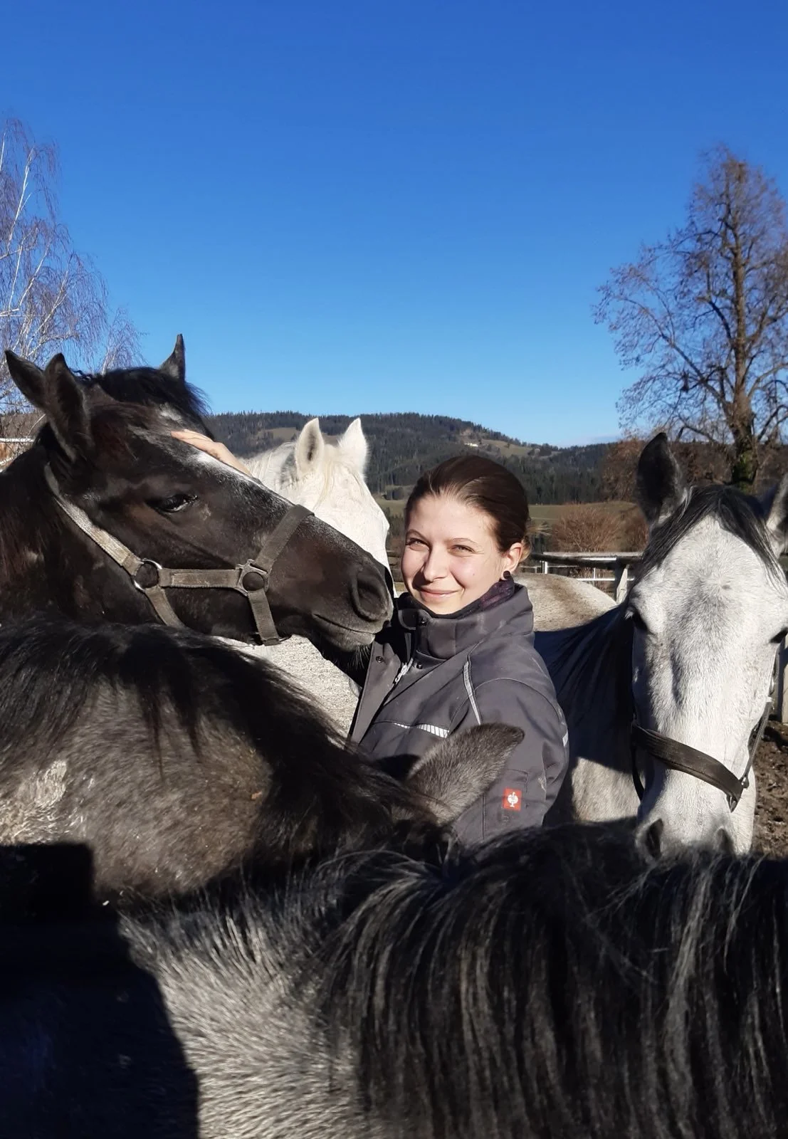 Eine Frau umgeben von mehreren Pferden im Freien bei schönem Wetter, mit blauer Himmel und Bergen im Hintergrund.