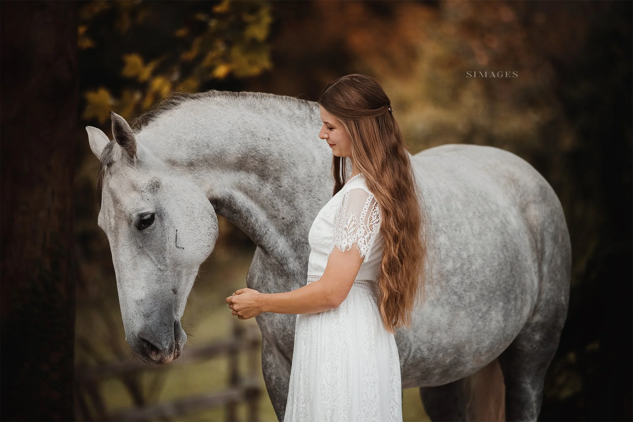 Junge Frau in weißem Kleid streichelt ein graues Pferd im Park bei Sonnenuntergang.