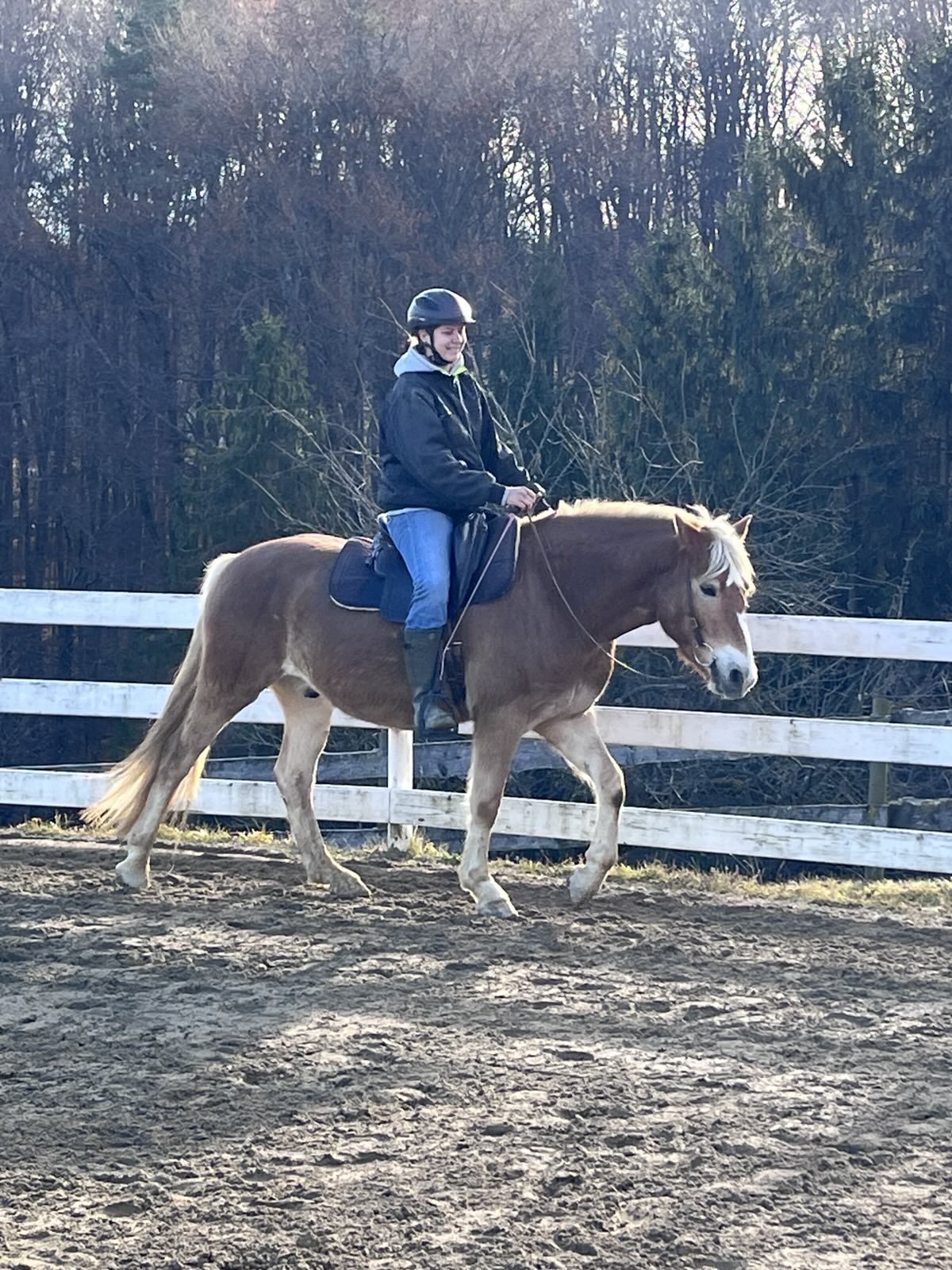 Junge Frau reitet auf einem hellbraunen Pferd im Außenreitplatz, umgeben von einem weißen Holzzaun und Bäumen im Hintergrund.