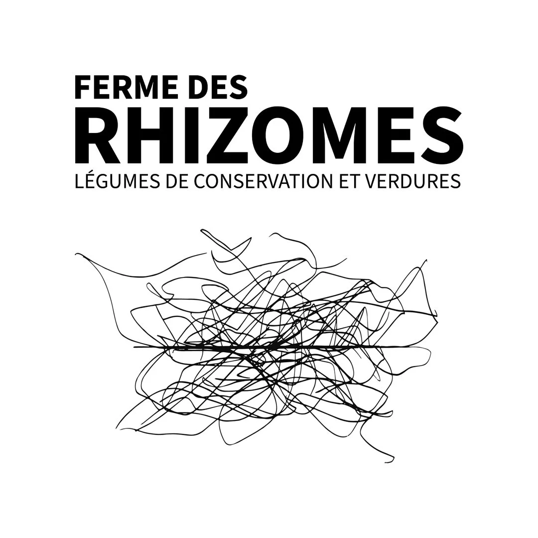 Affiche avec le texte "Ferme des Rhizomes, légumes de conservation et verdure" et illustration simple d'un amas de lignes noires pour représenter des racines ou des rhizomes.