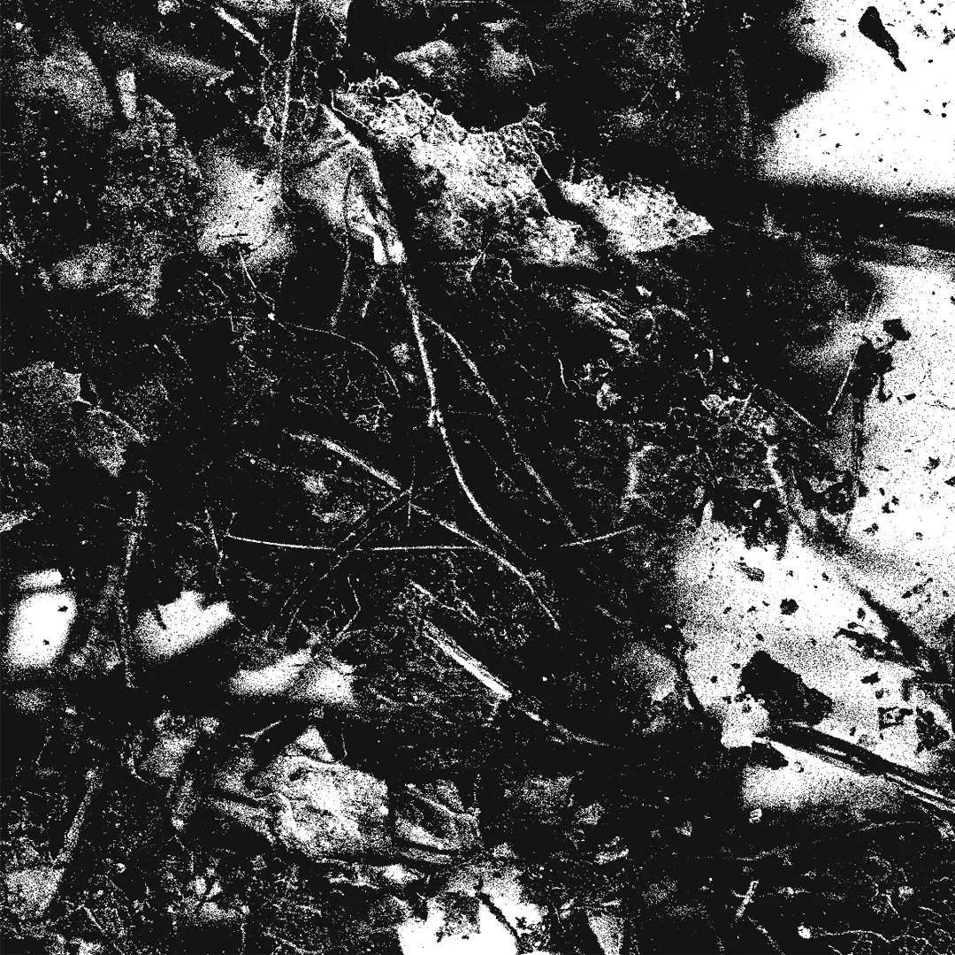 Une surface sombre avec des débris, des feuilles, et des branches dispersées, donnant une impression de nature ou de terre