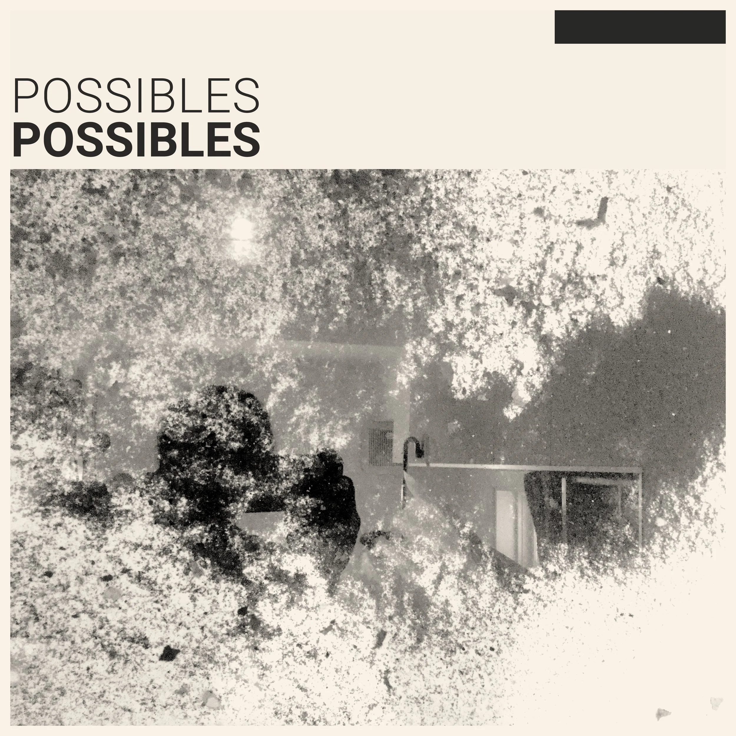 Une image en noir et blanc avec le texte ‘‘POSSIBLES POSSIBLES’’ en haut à gauche. La photo semble montrer un reflet de deux personnes devant une vitre, avec des arbres ou des feuilles derrière, créant un effet spectaculairement granuleux et texturé.
