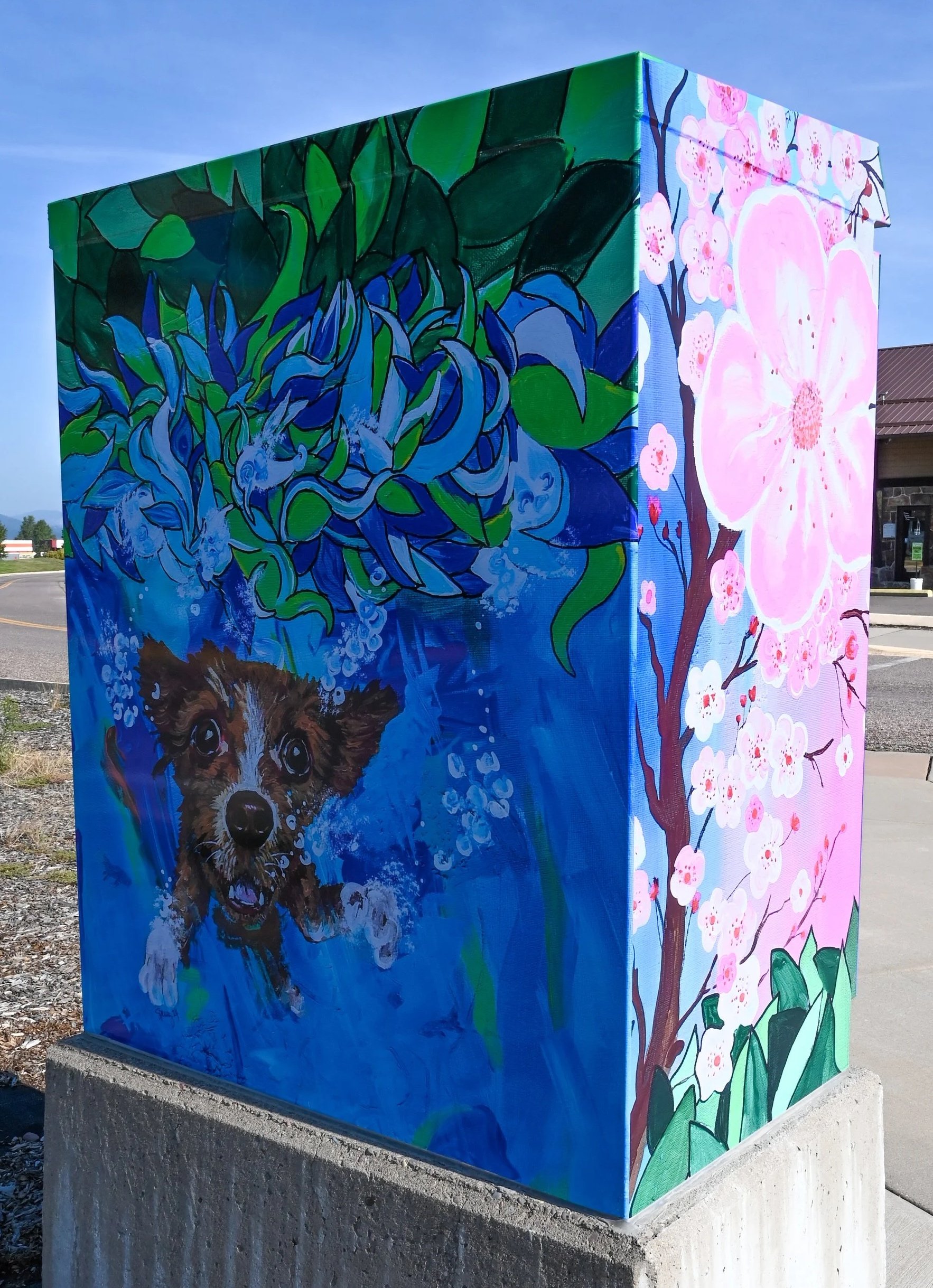 Spring McKee's box at Safeway junction 