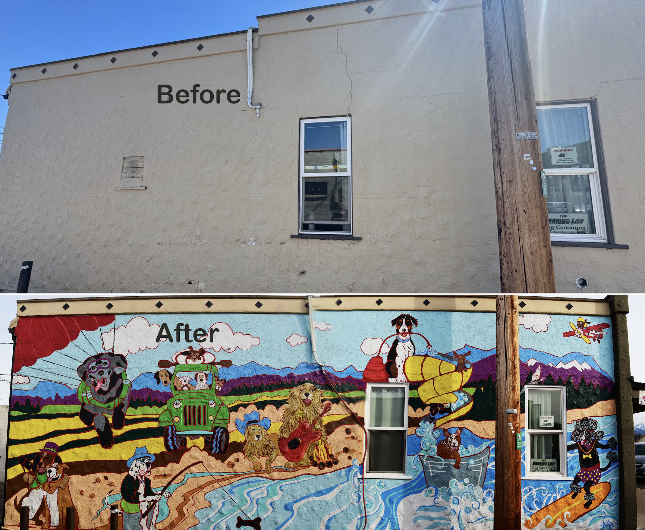 Before and After at The Barking Lot