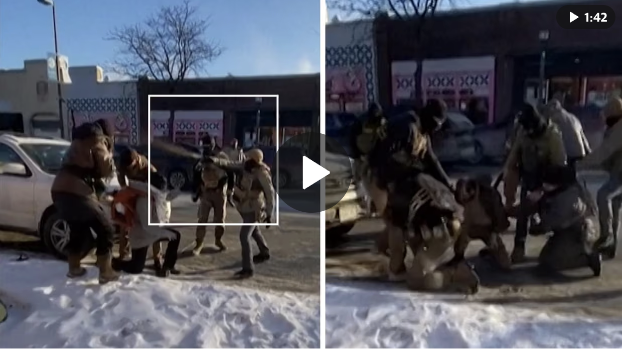 The Guardian: Alex Pretti did not brandish gun, witnesses say in sworn testimony