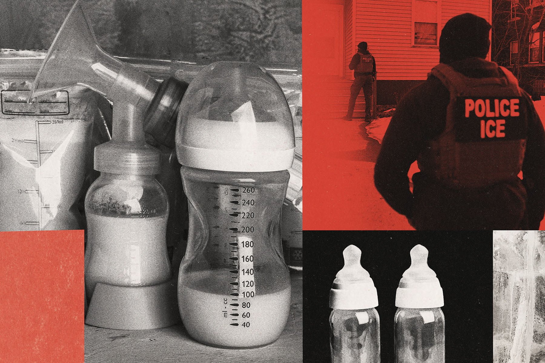 The 19th: When one mother was taken by ICE, another stepped in to donate breastmilk