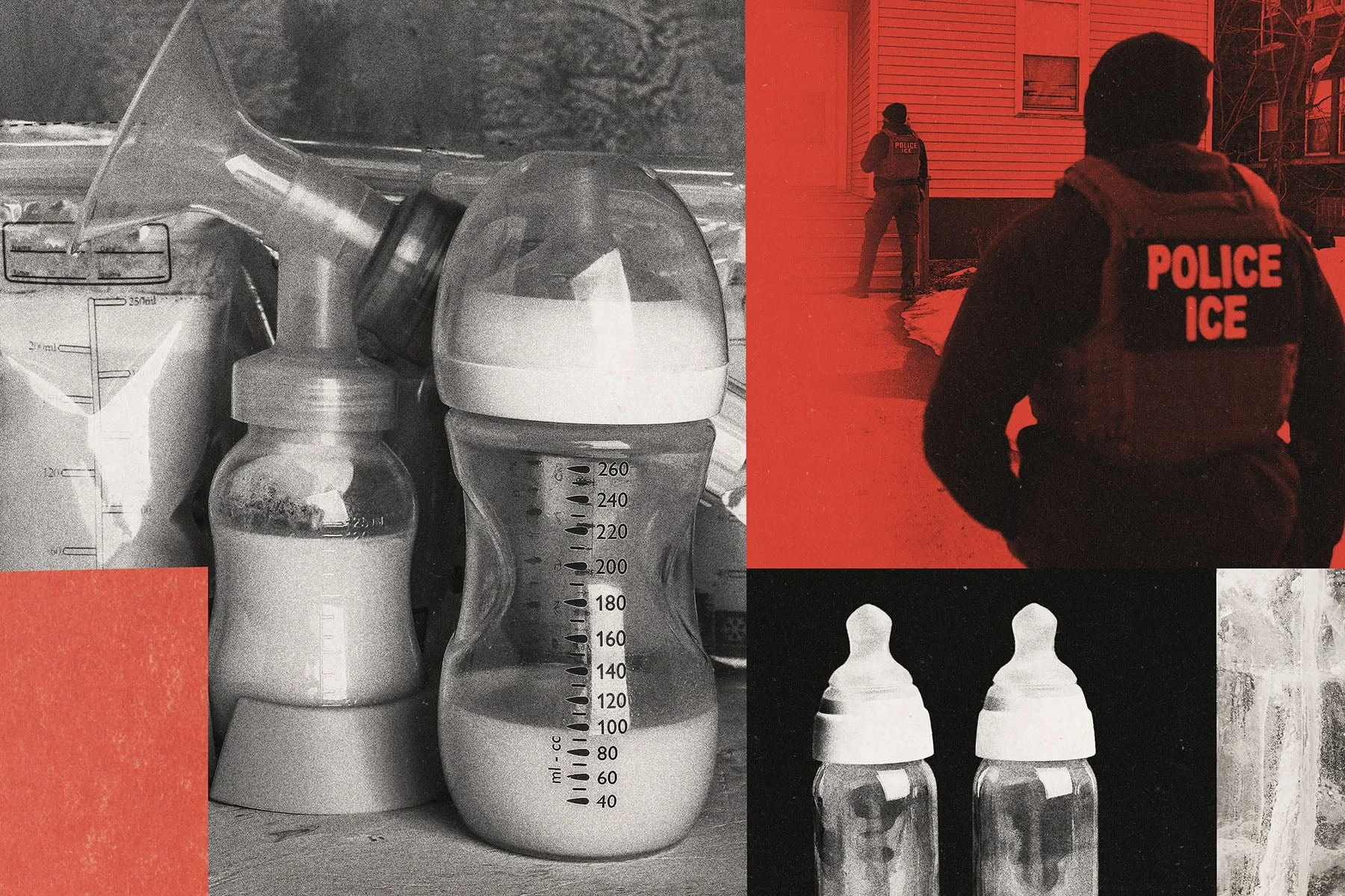 stay-informed-stand-with-minnesota