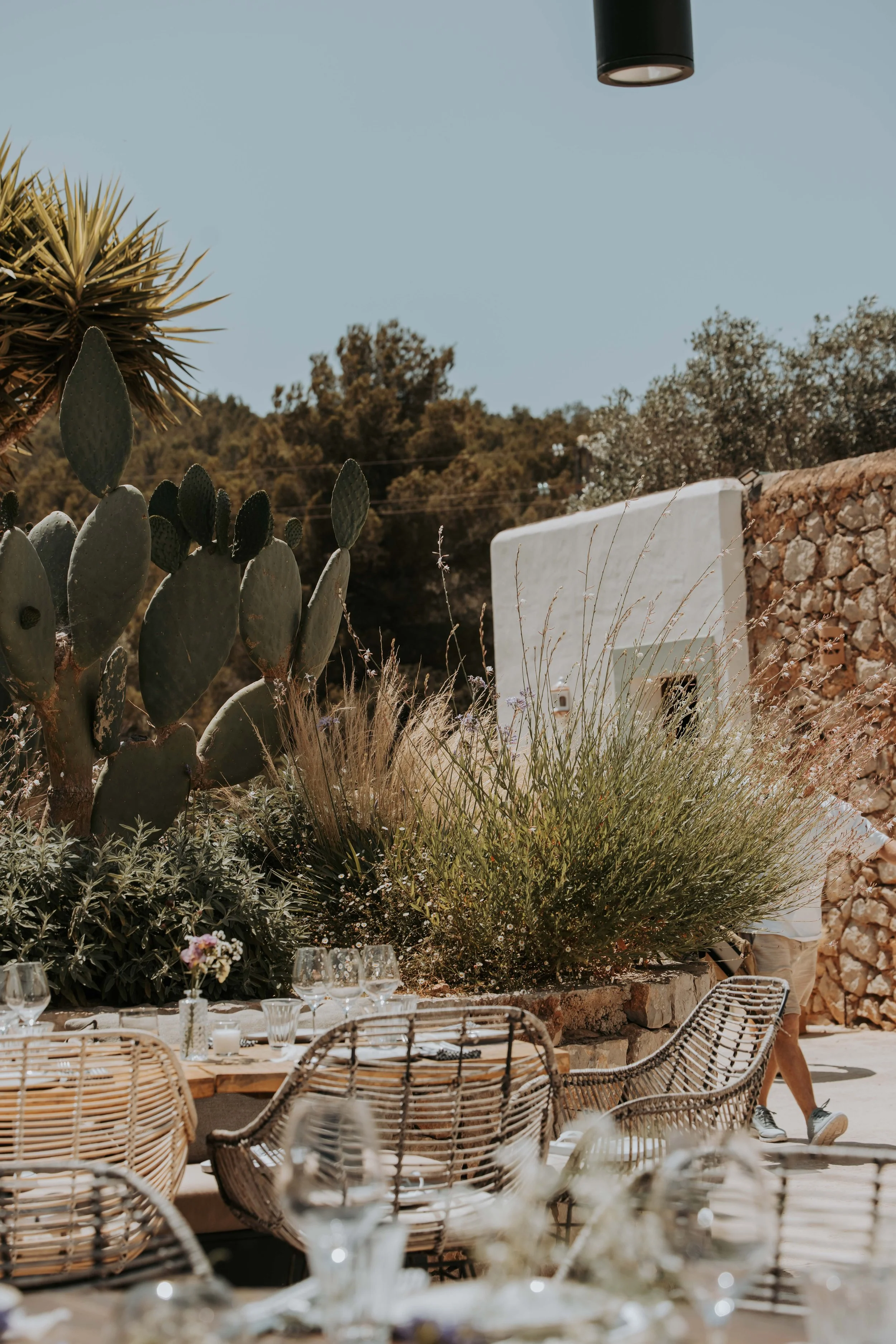 Outdoor dining area with wicker chairs and a wooden table set with glassware, surrounded by large cactus and other plants, with a stone wall and a white rectangular structure in the background under a clear blue sky.
