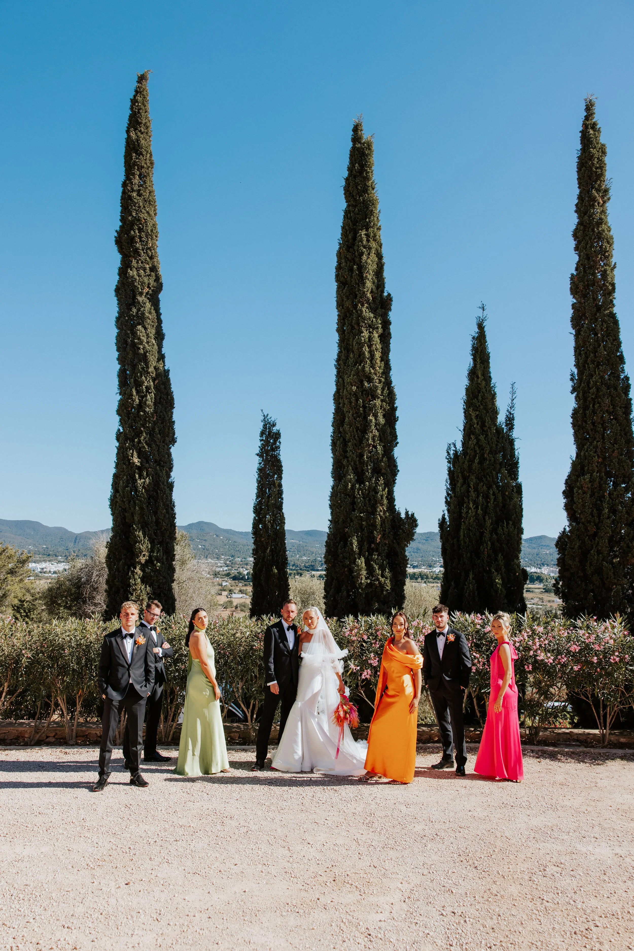Group of wedding guests in colorful dresses and tuxedos standing outdoors near tall cypress trees, with mountains in the background and clear blue sky.