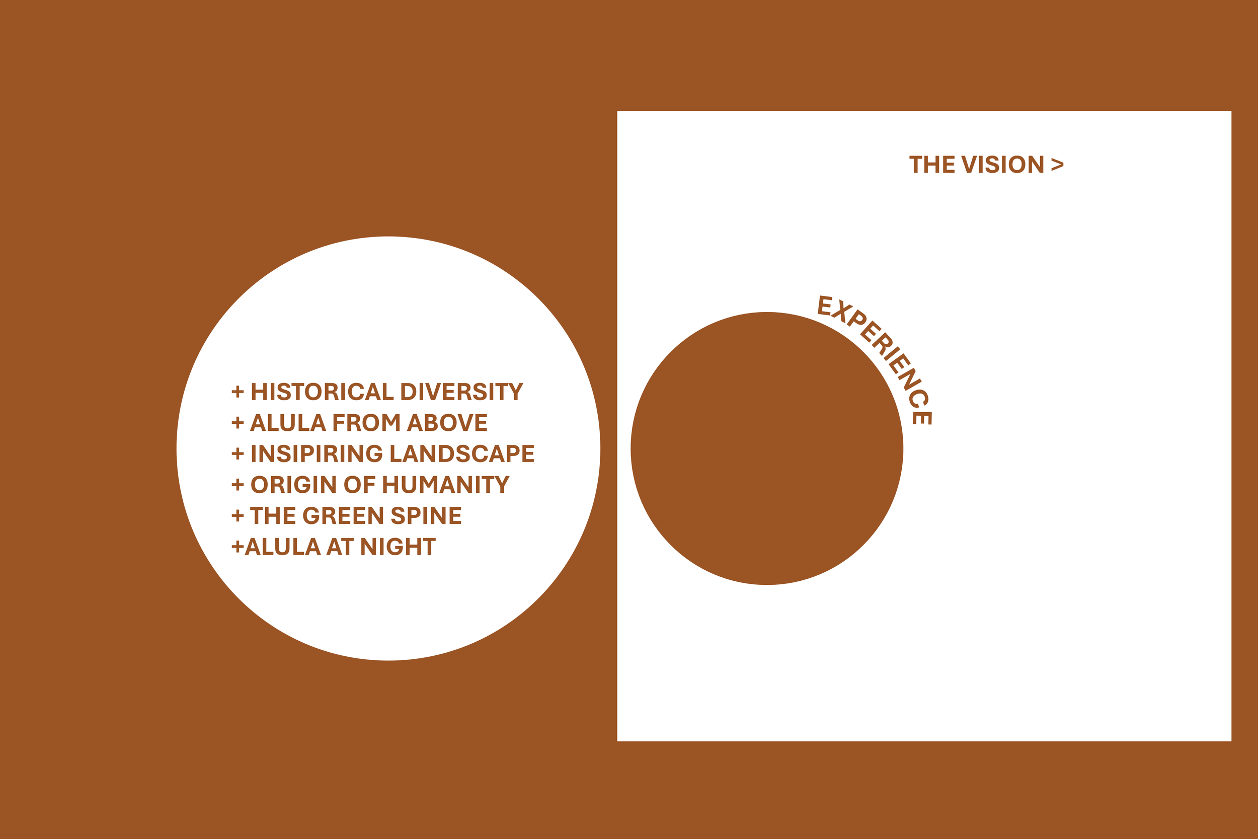 Layered vision strategy establishing experiential themes for the AlUla visitor journey.