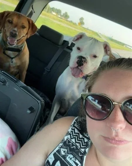 A woman wearing sunglasses, taking a selfie in a car. Behind her are two dogs, one brown and black with a collar and one white with black spots, sitting in the back seat of the car. The background shows a green landscape with trees and a cloudy sky.