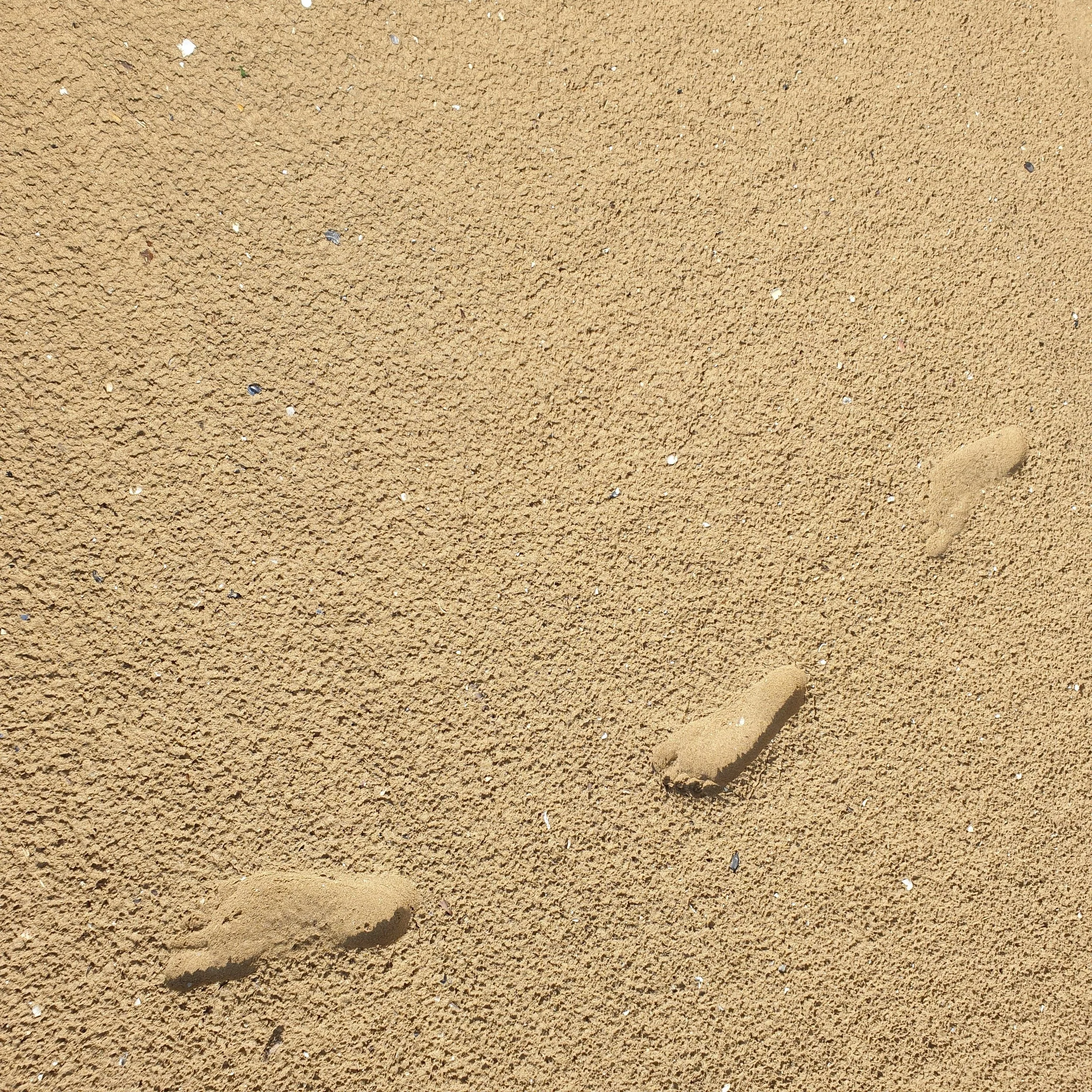 Impronte di piedi sulla sabbia