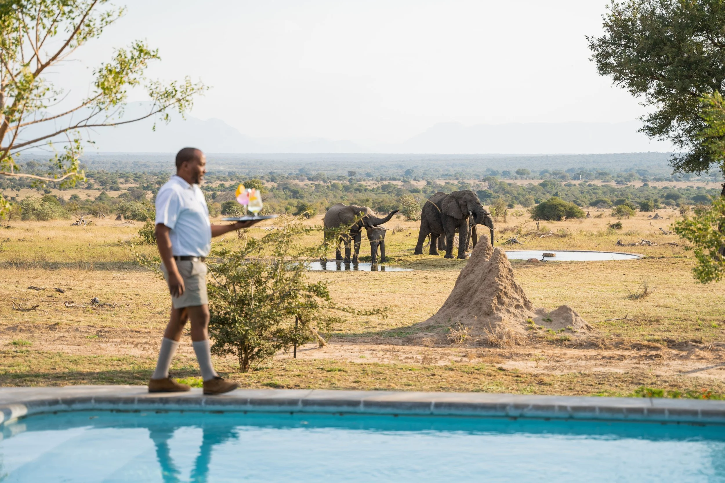 Shared spaces and private suites alike overlook a waterhole below, offering regular wildlife sightings.