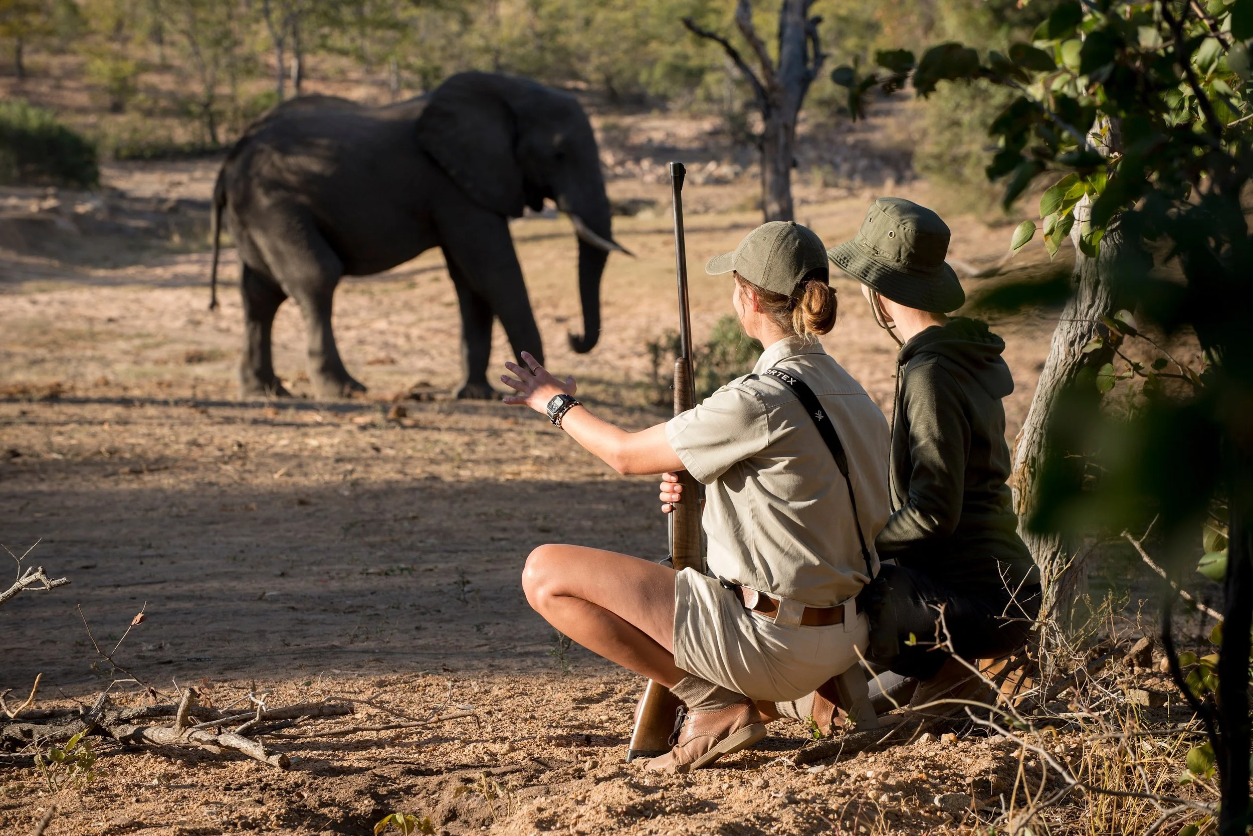 South-Africa-Ngala-Safari-Lodge-expereinces-walking-andbeyonder-guide-elephant+_6_-Low-Resolution-Widt
