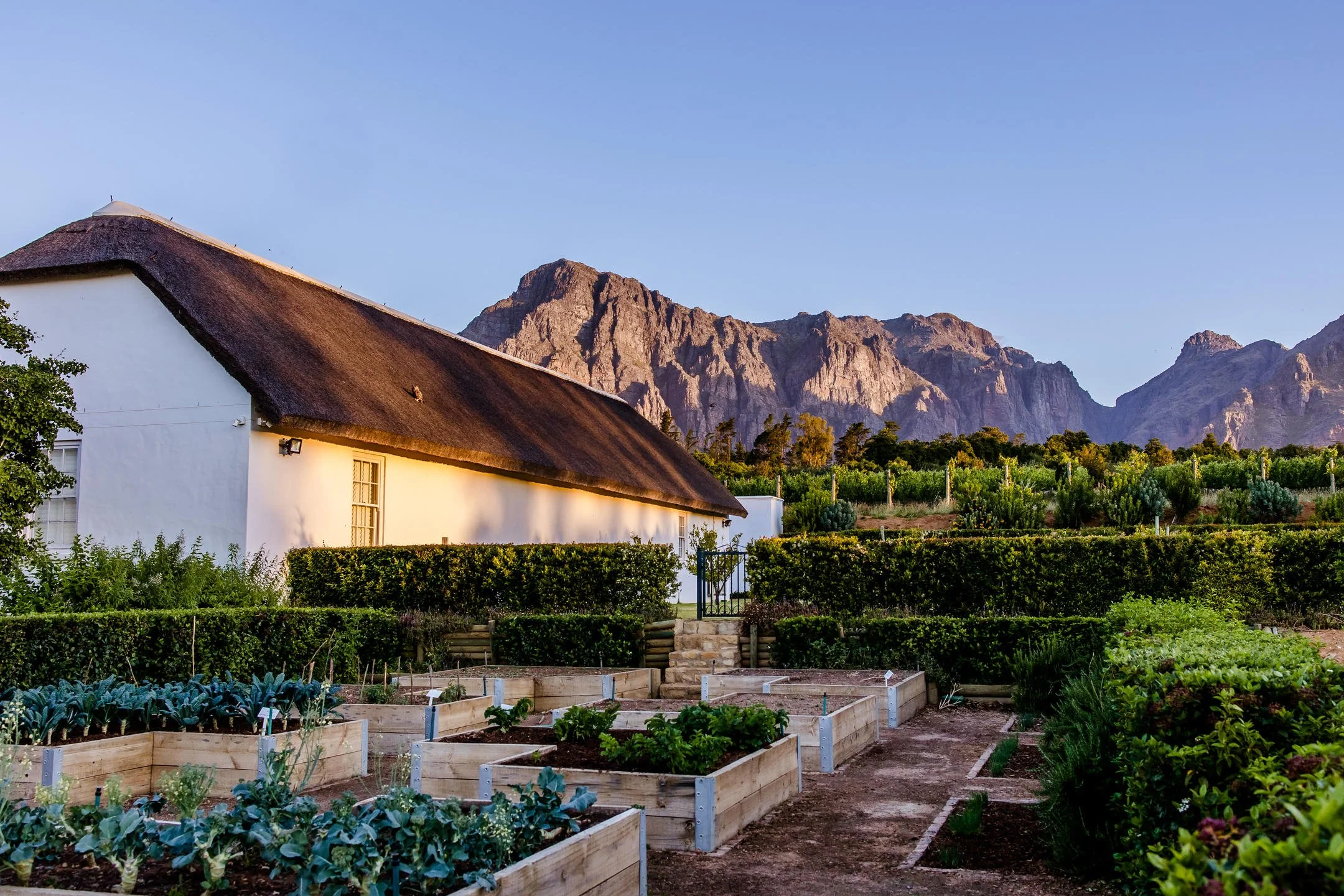 Fresh farm to plate dining