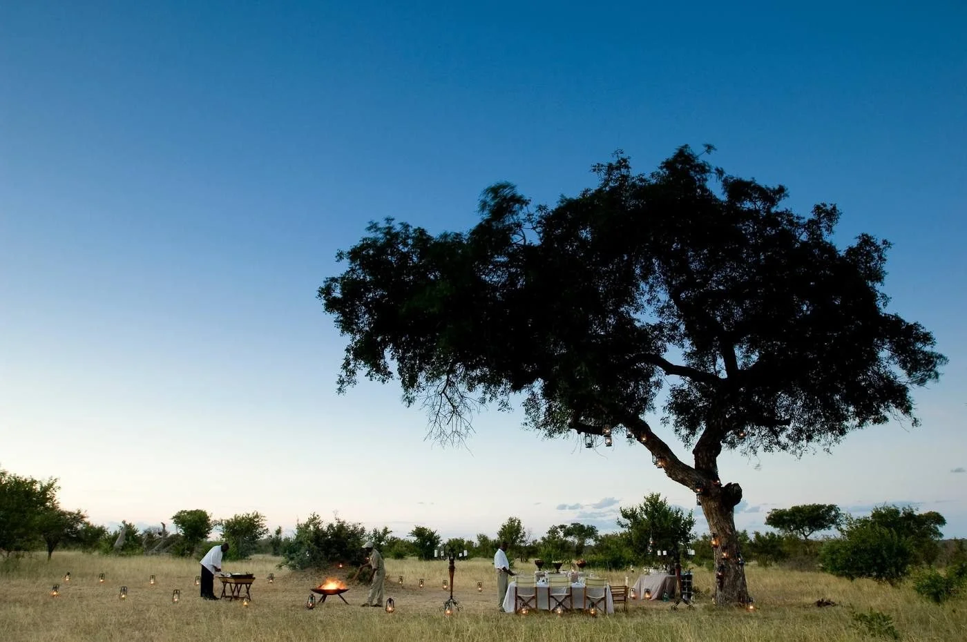 Private dinner set under a tree in the bush, Timbavati, Greater Kruger