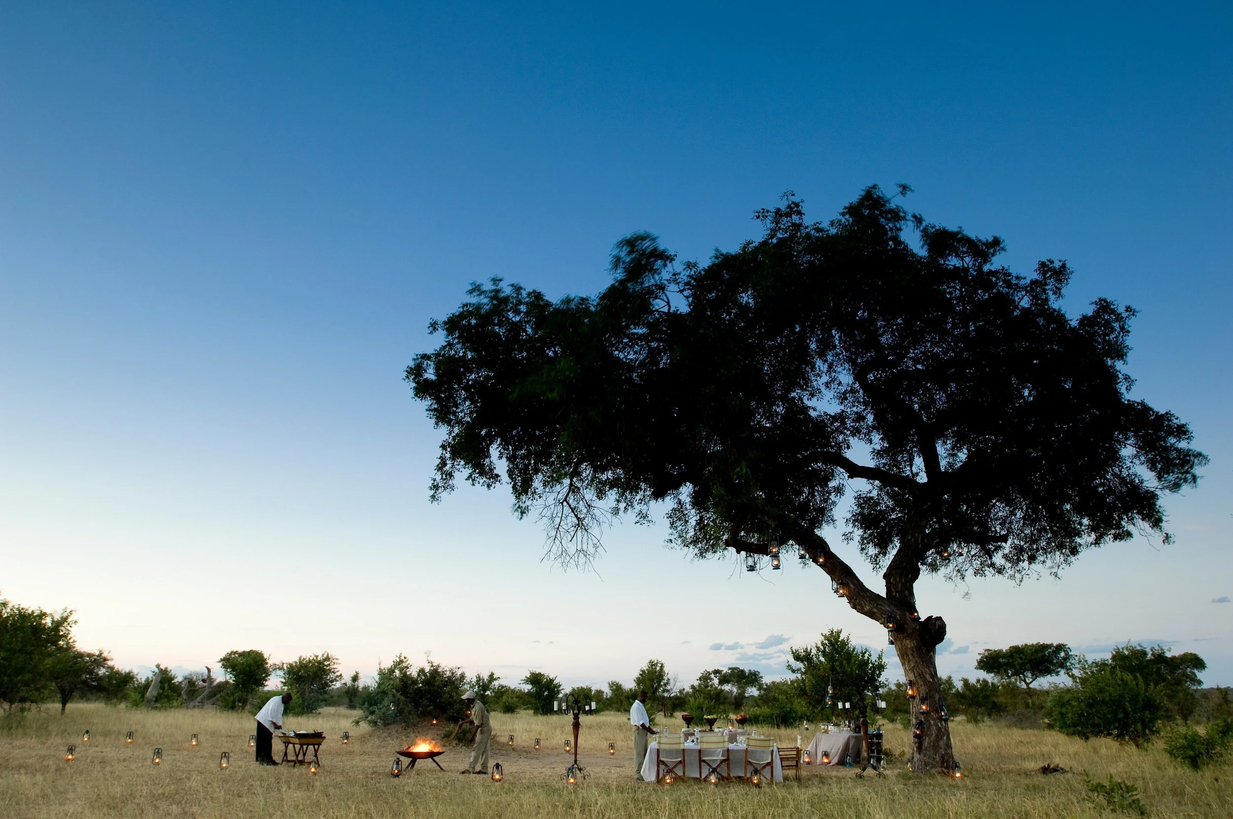 South-Africa-Ngala-Safari-Lodge-expereinces-bush-dining _2_-Low-Resolution-Widt