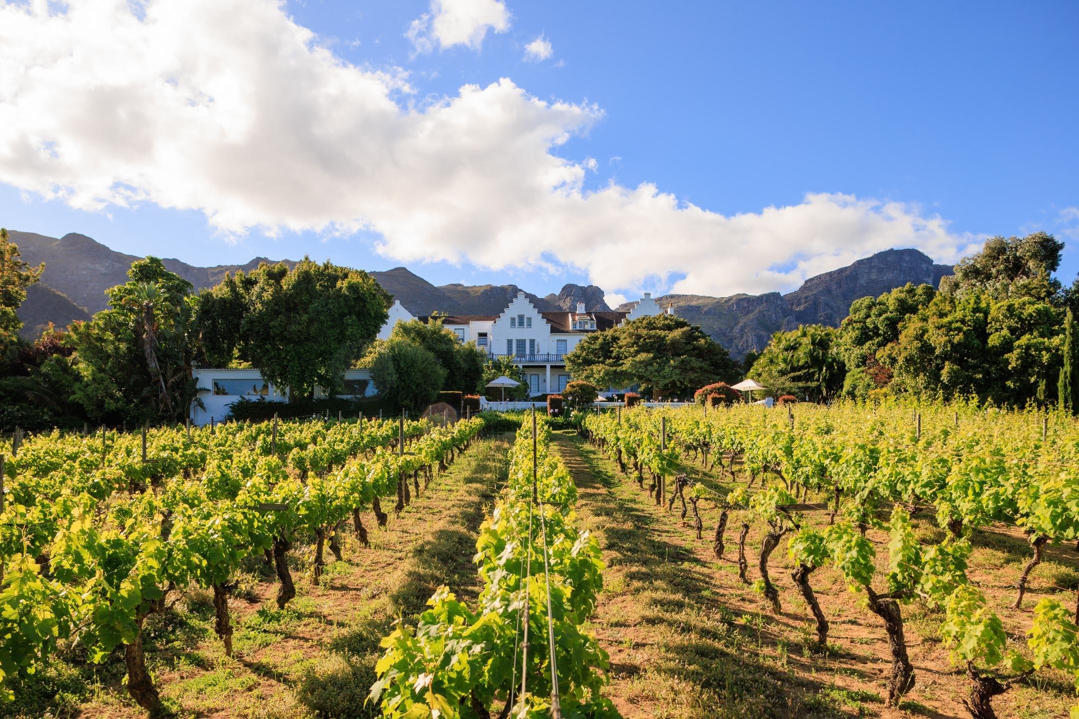 Set in the famous Constantia Valley among some of the oldest vineyards in South Africa