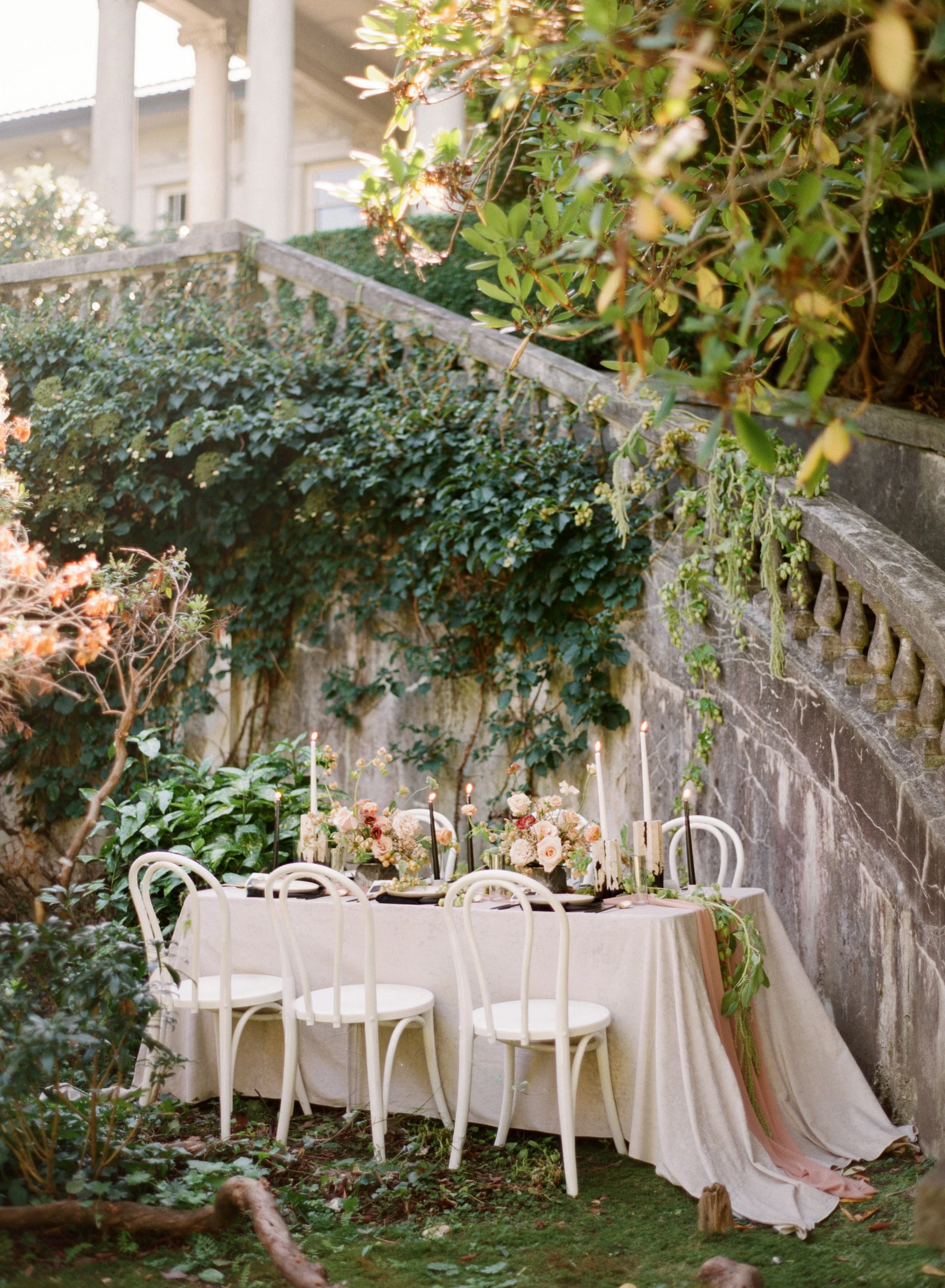 THE BEAUTIFUL AND THE DAMNED