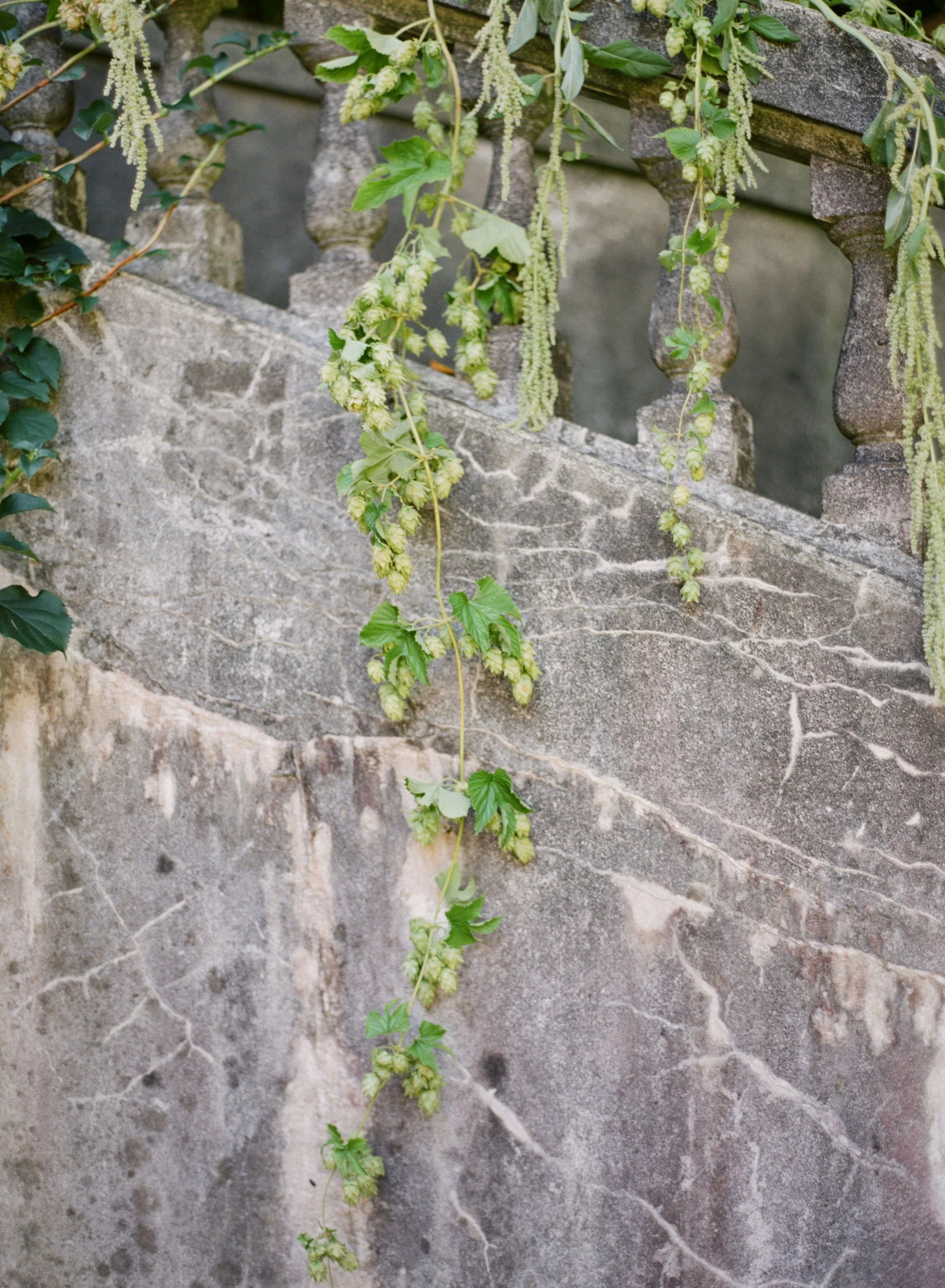 HycroftStyleShoot-60 (1).jpg