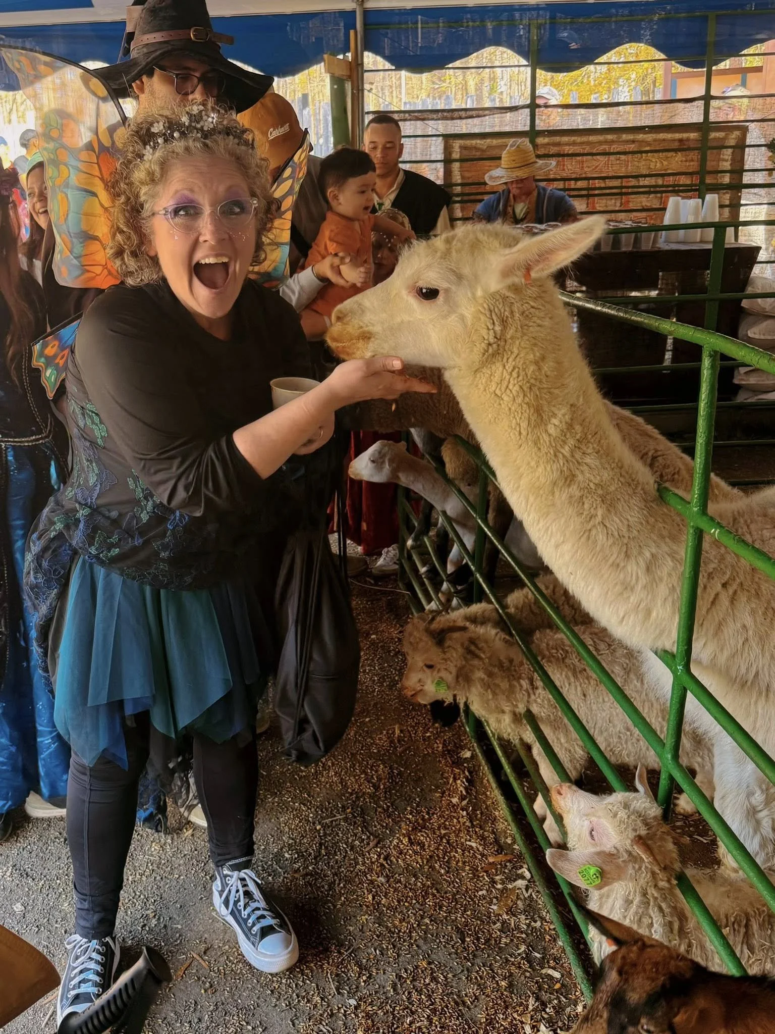 Woman feeding a llama at a petting zoo with children and adults in the background.