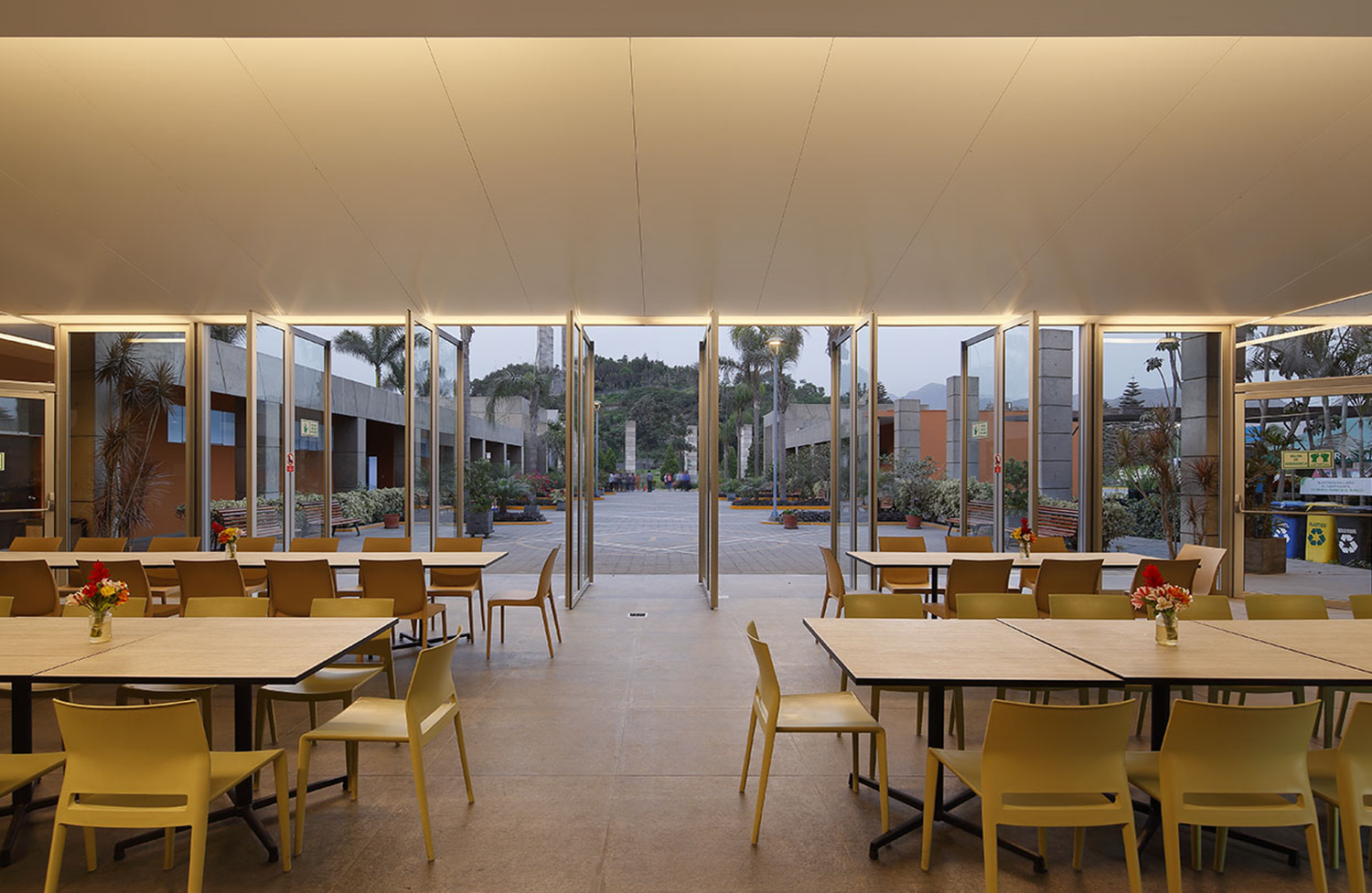 COMEDOR DE CAMPOSANTO