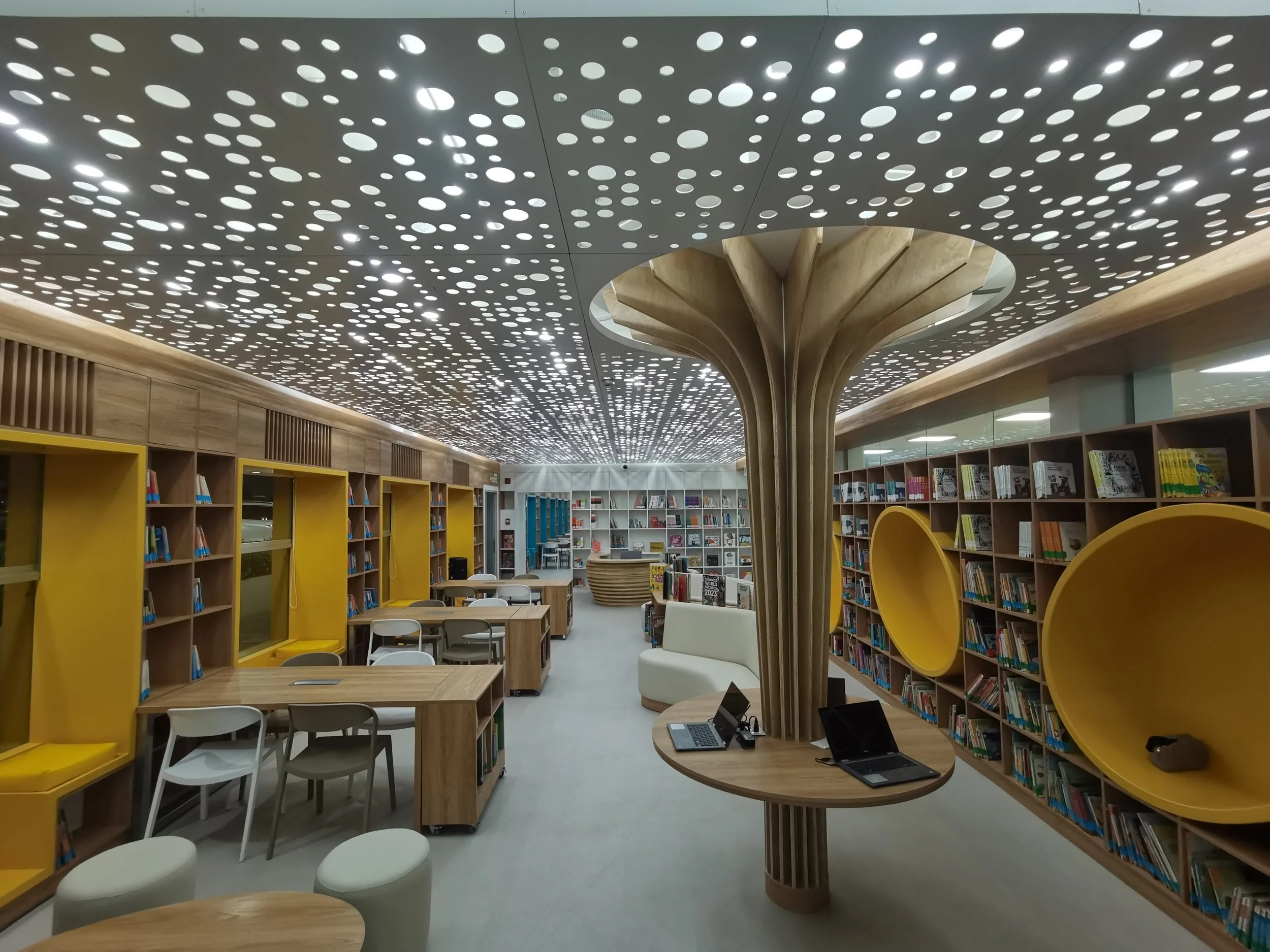 techo de pac para biblioteca de colegio raimondi falso cielo raso