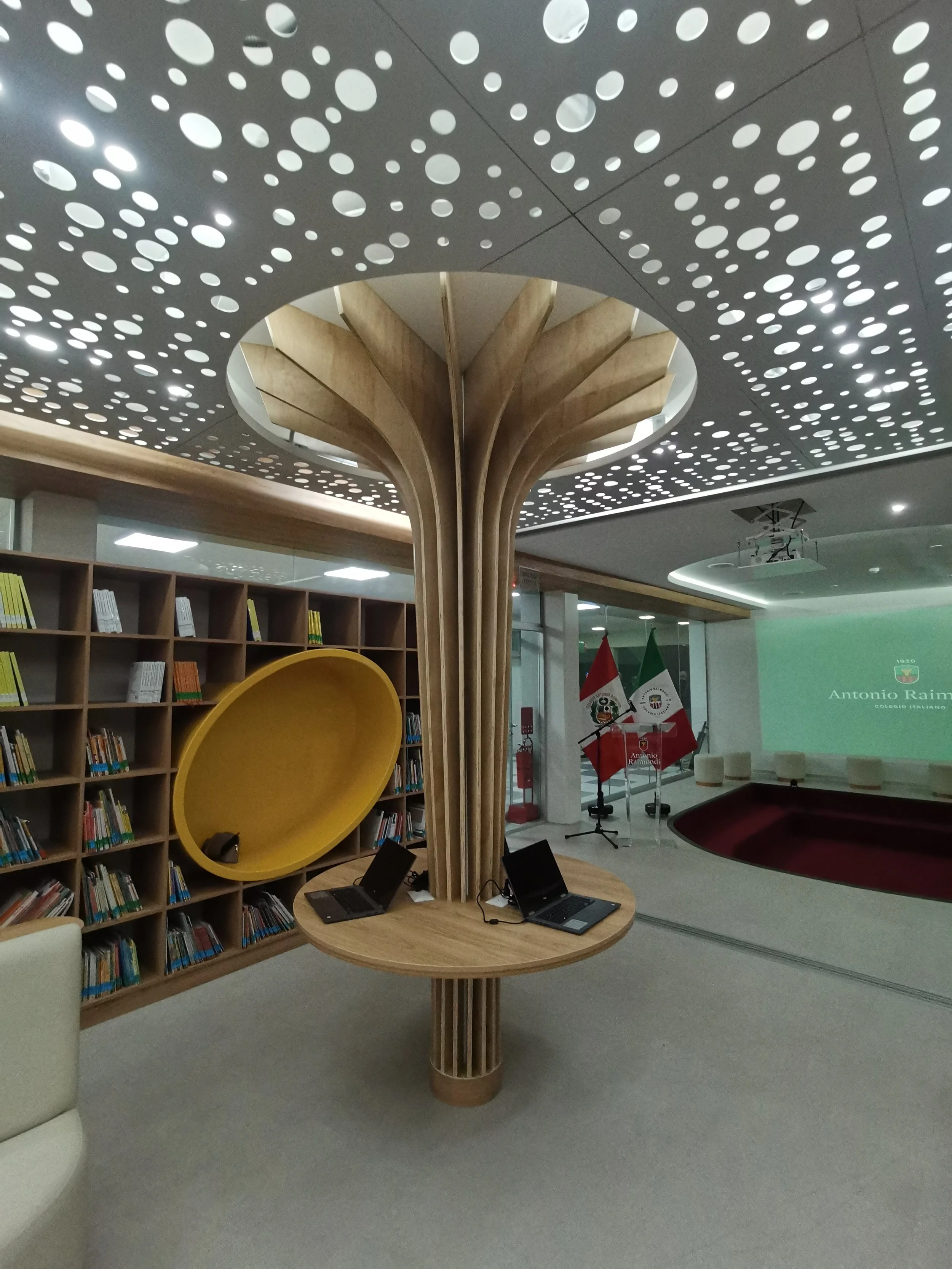 techo de pac para biblioteca de colegio raimondi falso cielo raso